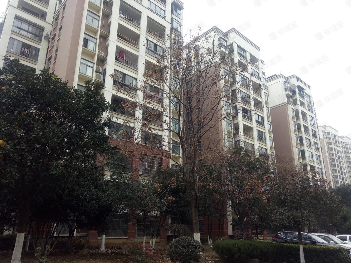 武汉东西湖-金银湖/暂无年代金湖清水湾(东区)