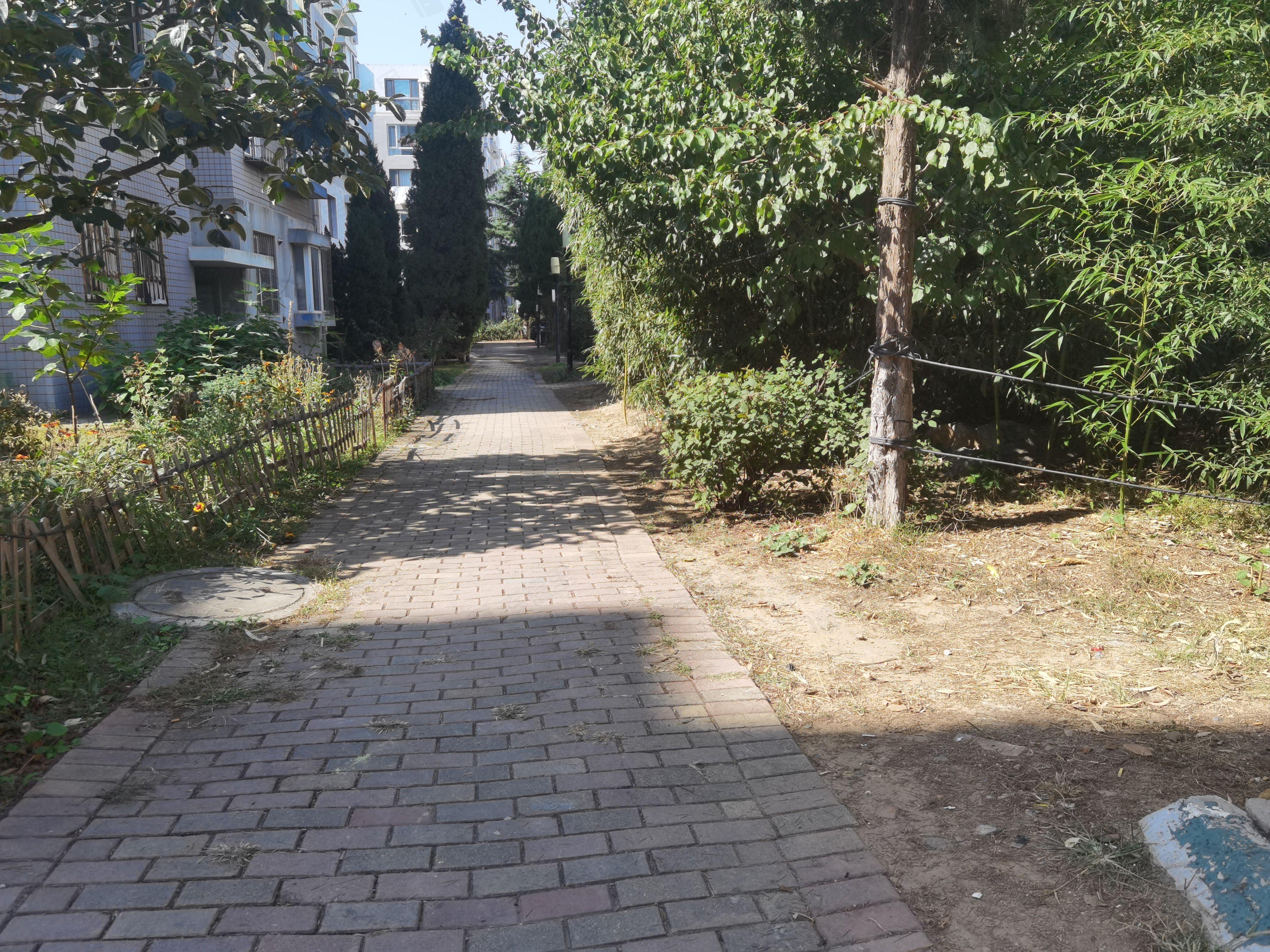 海桥园小区效果图