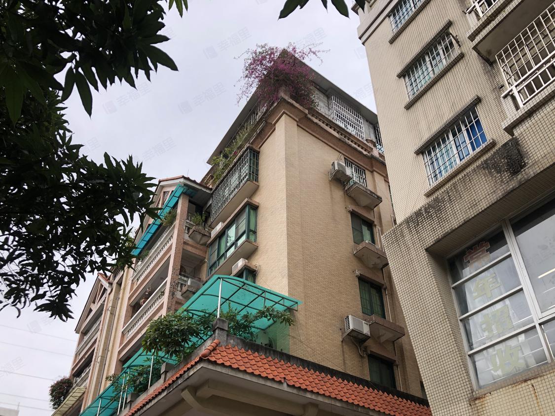 广州番禺-大石/暂无年代校前大街一巷