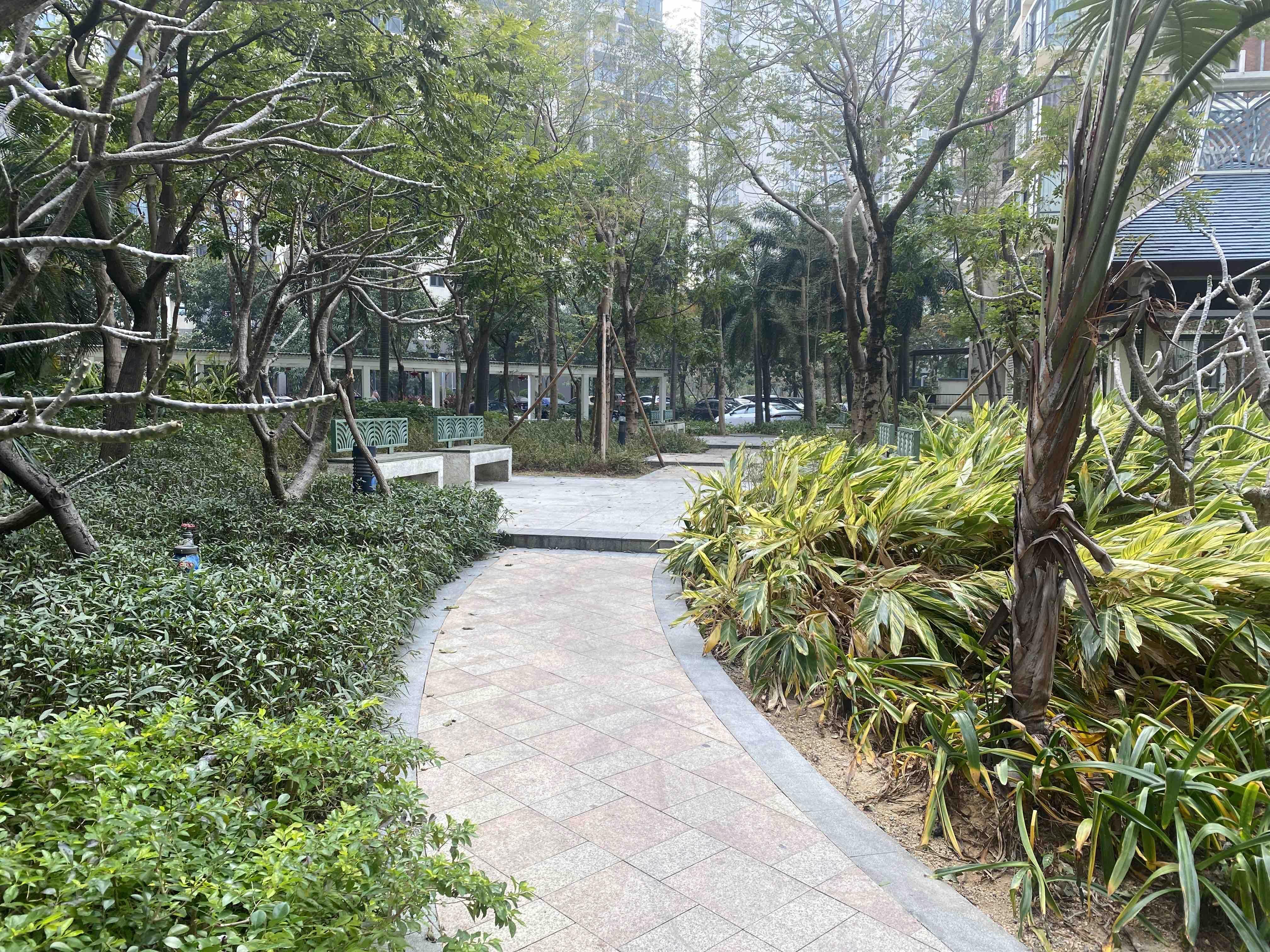 翠湖苑小区效果图