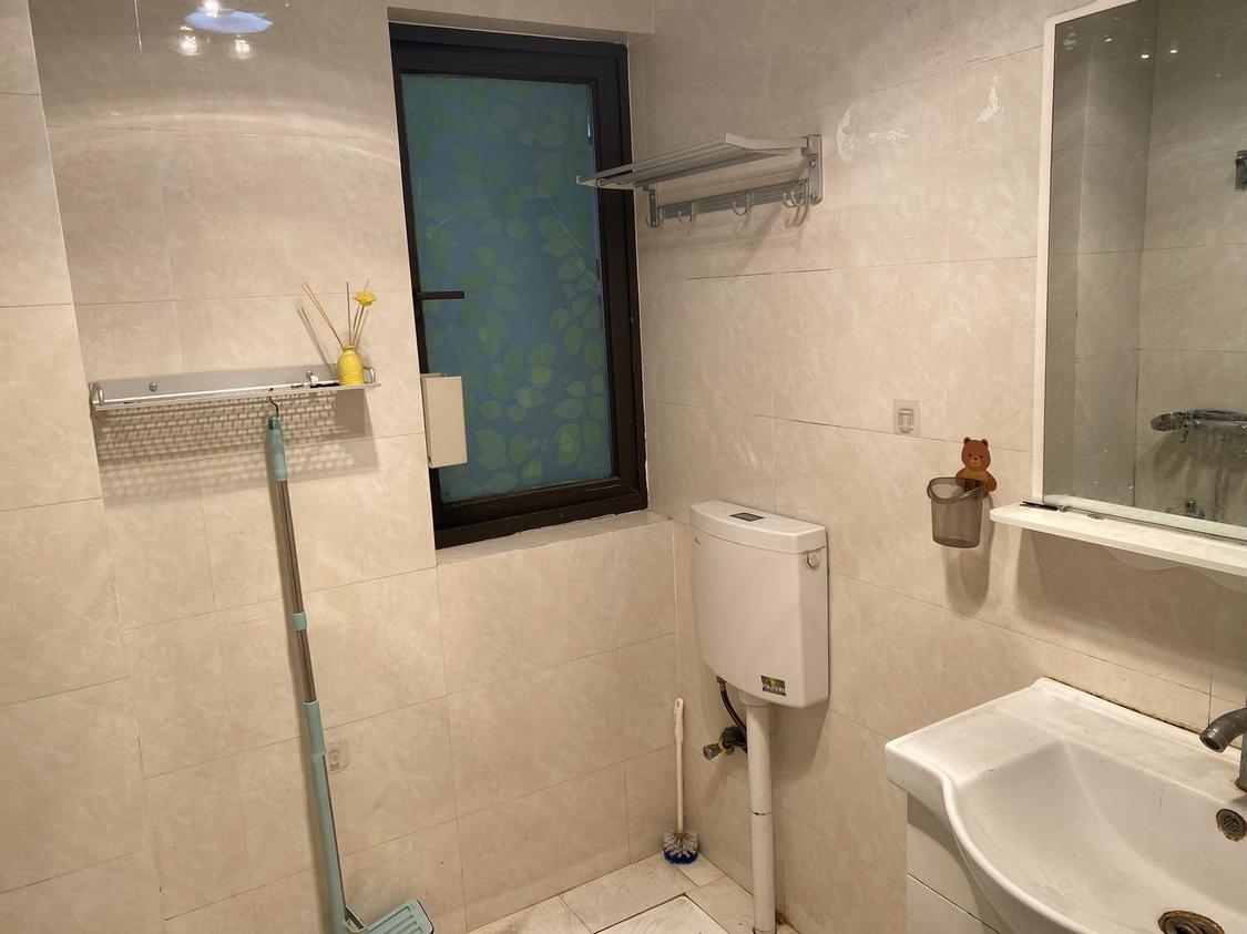 整租·鲁能星城(六街区)