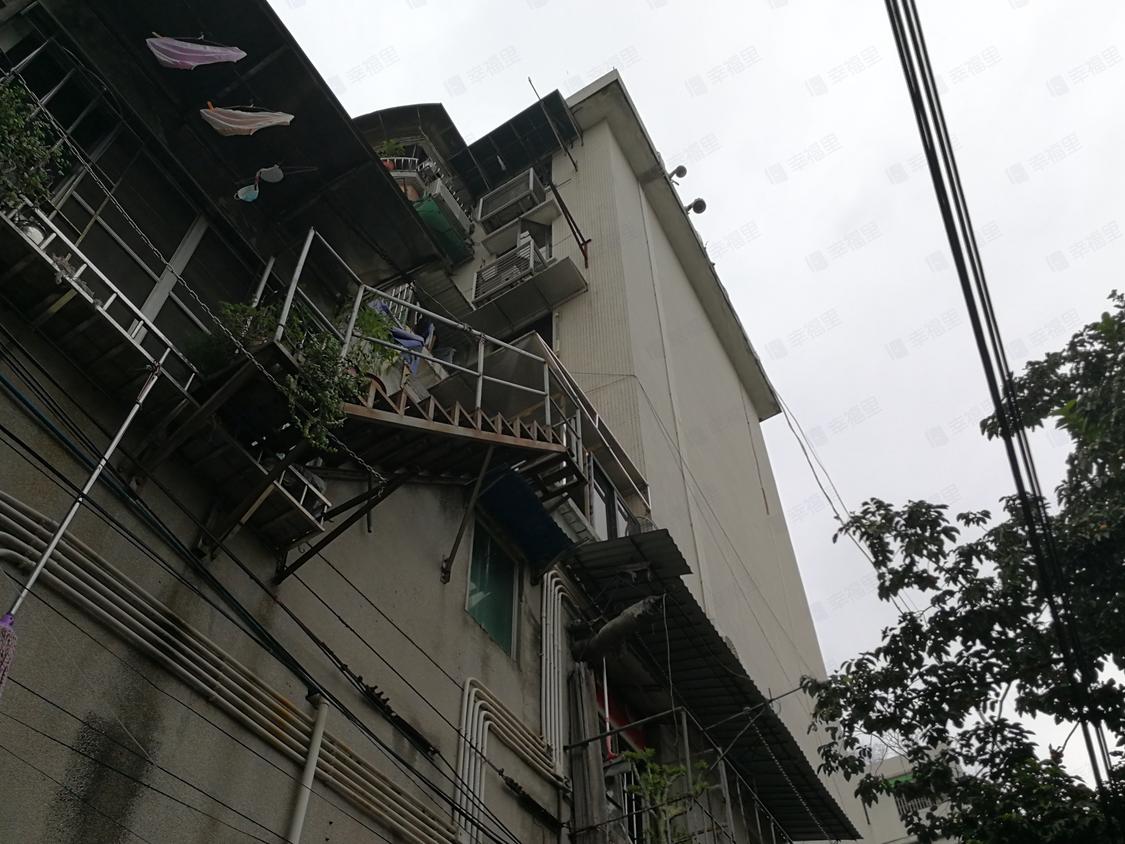 广州荔湾-芳村/暂无年代鹤洞新村