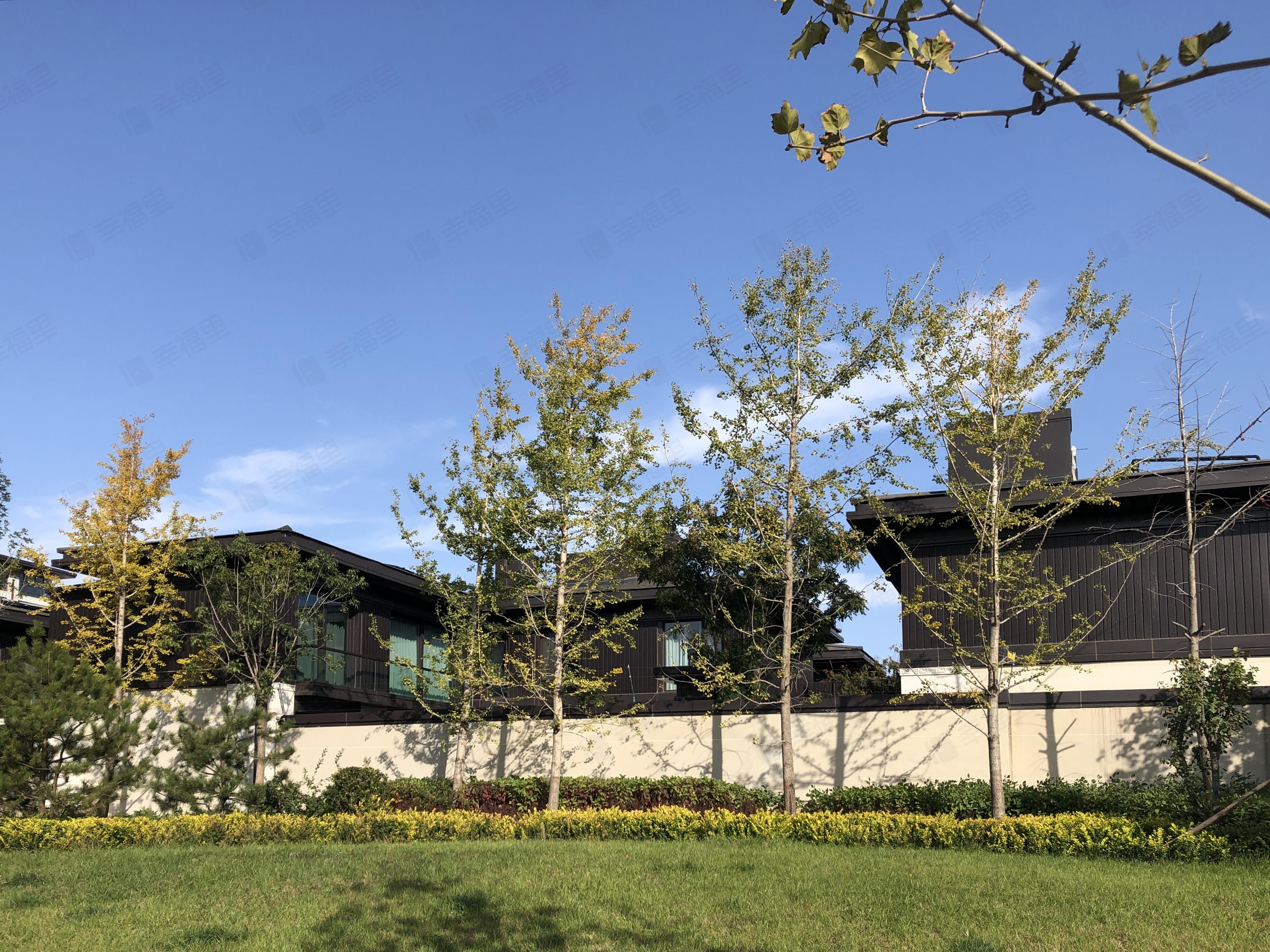 观承别墅小区效果图