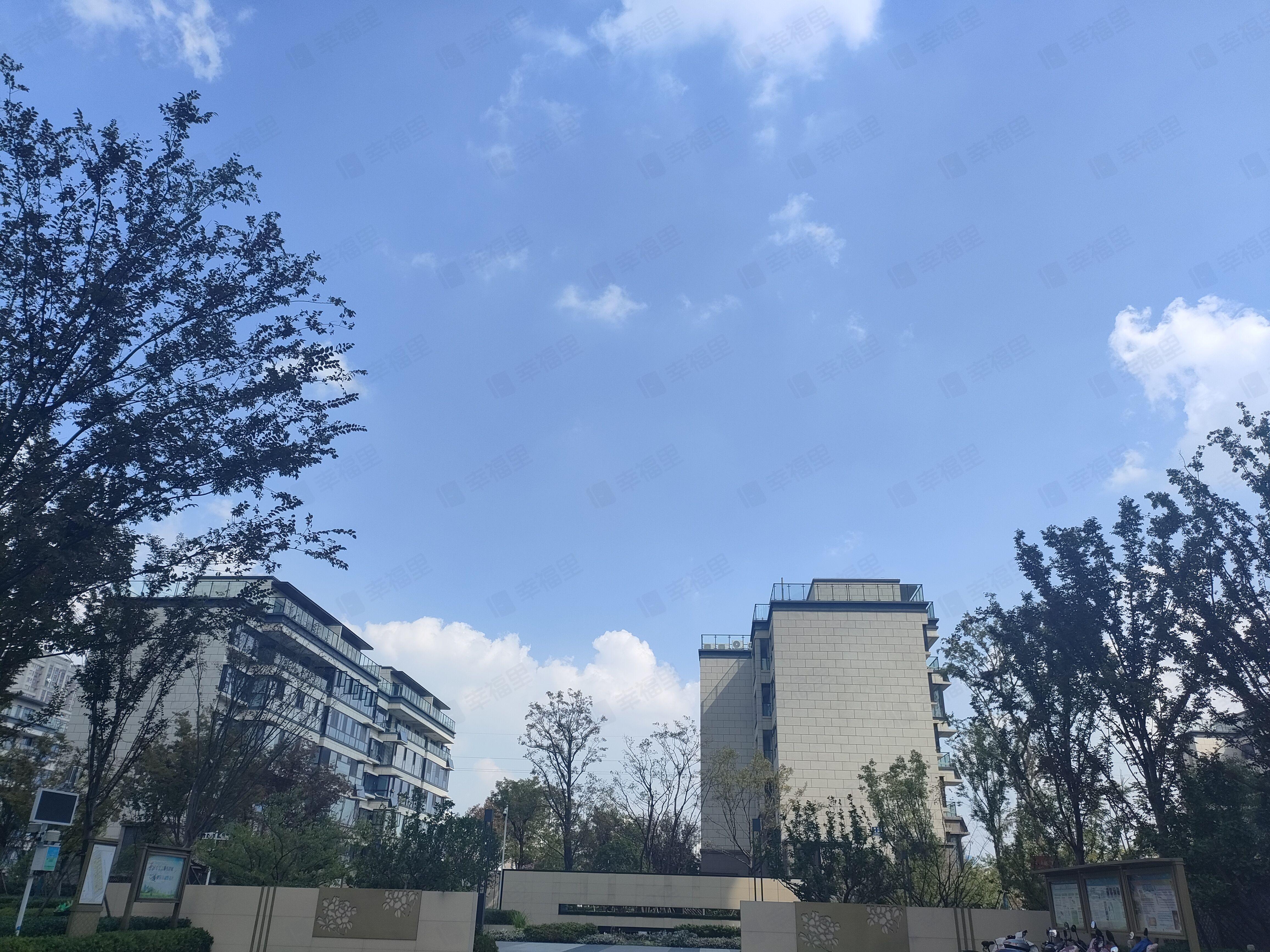 海棠别院小区效果图