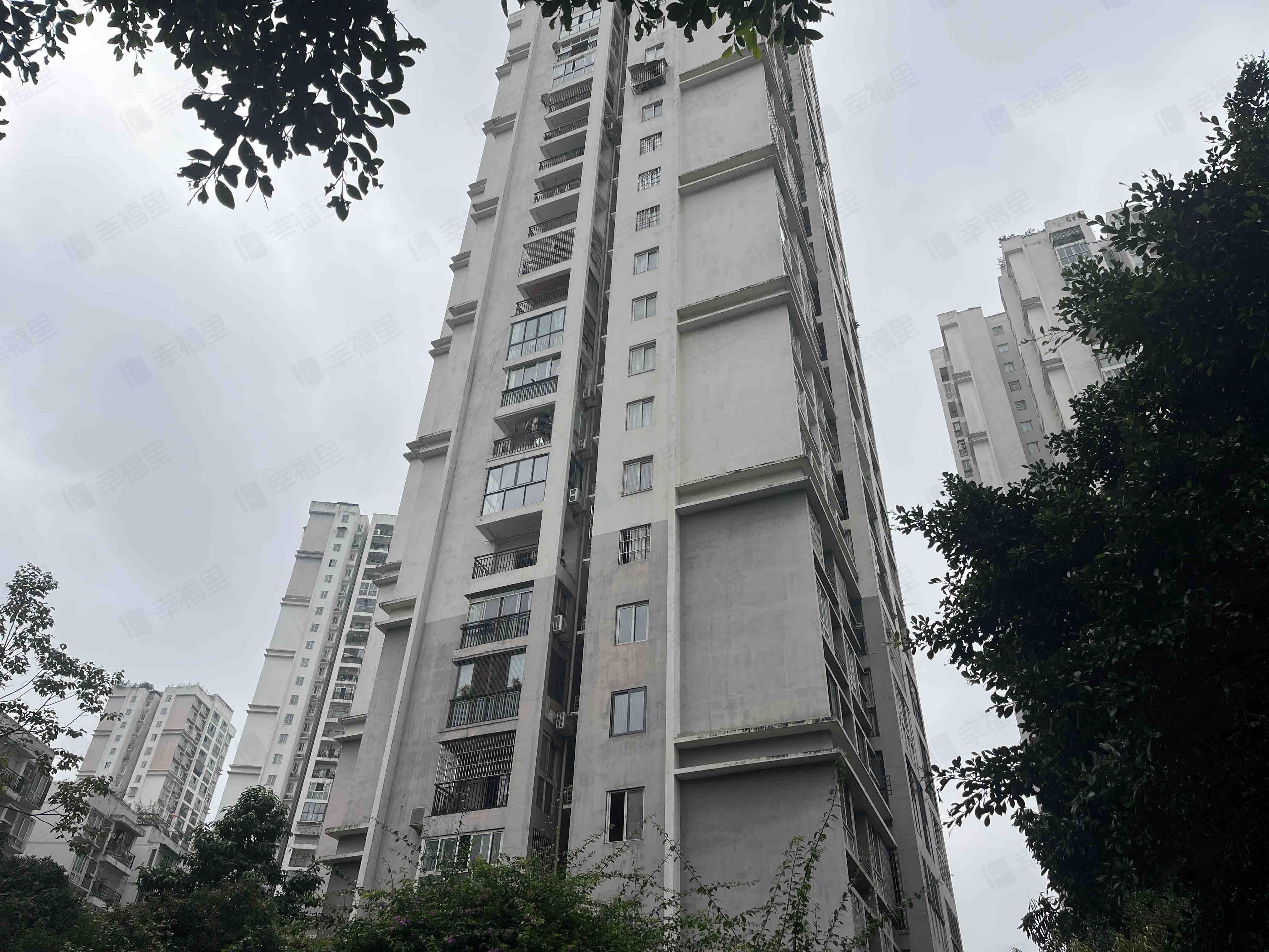 群乐村小区效果图