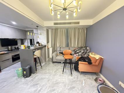 上海三林世博家园(C区)2室1厅77平高楼层/共11层