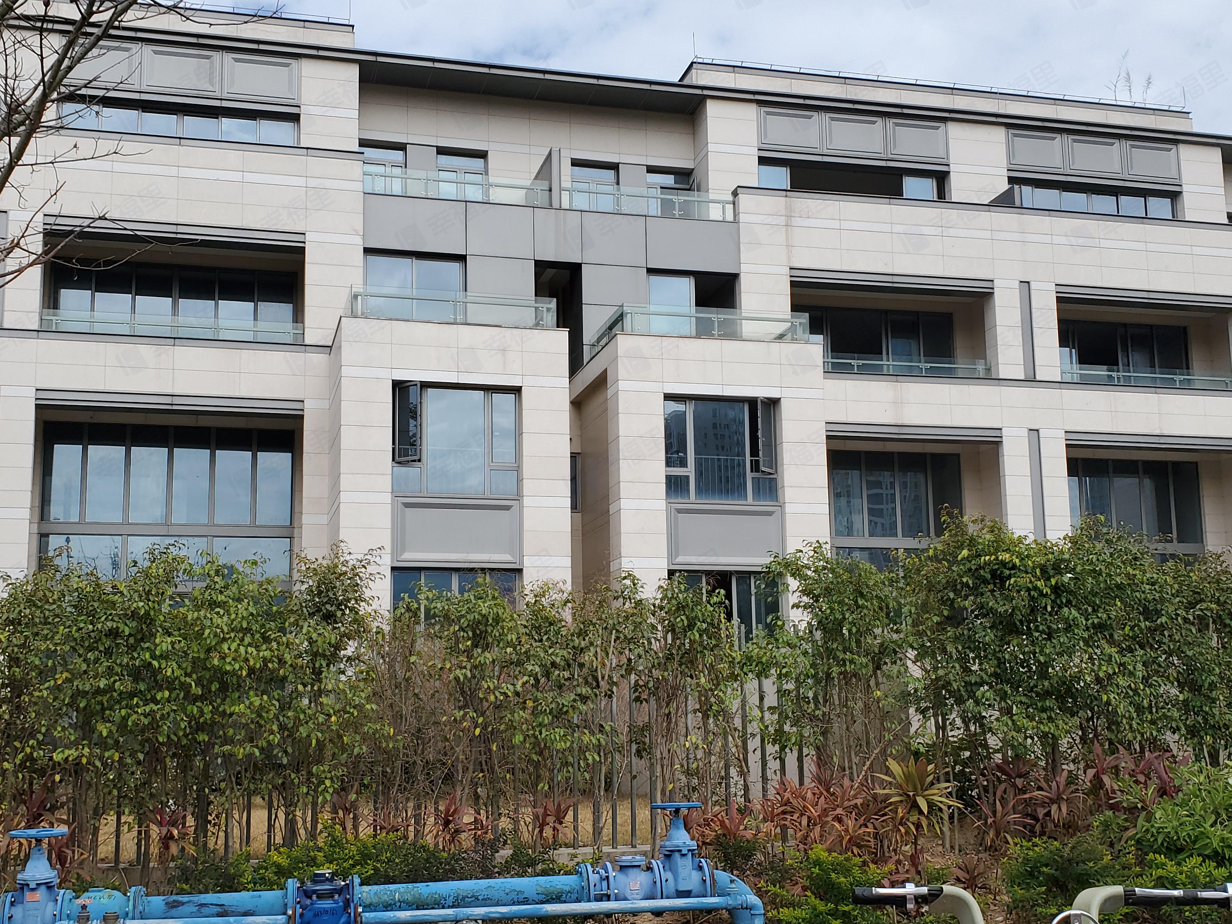 红树别院小区效果图