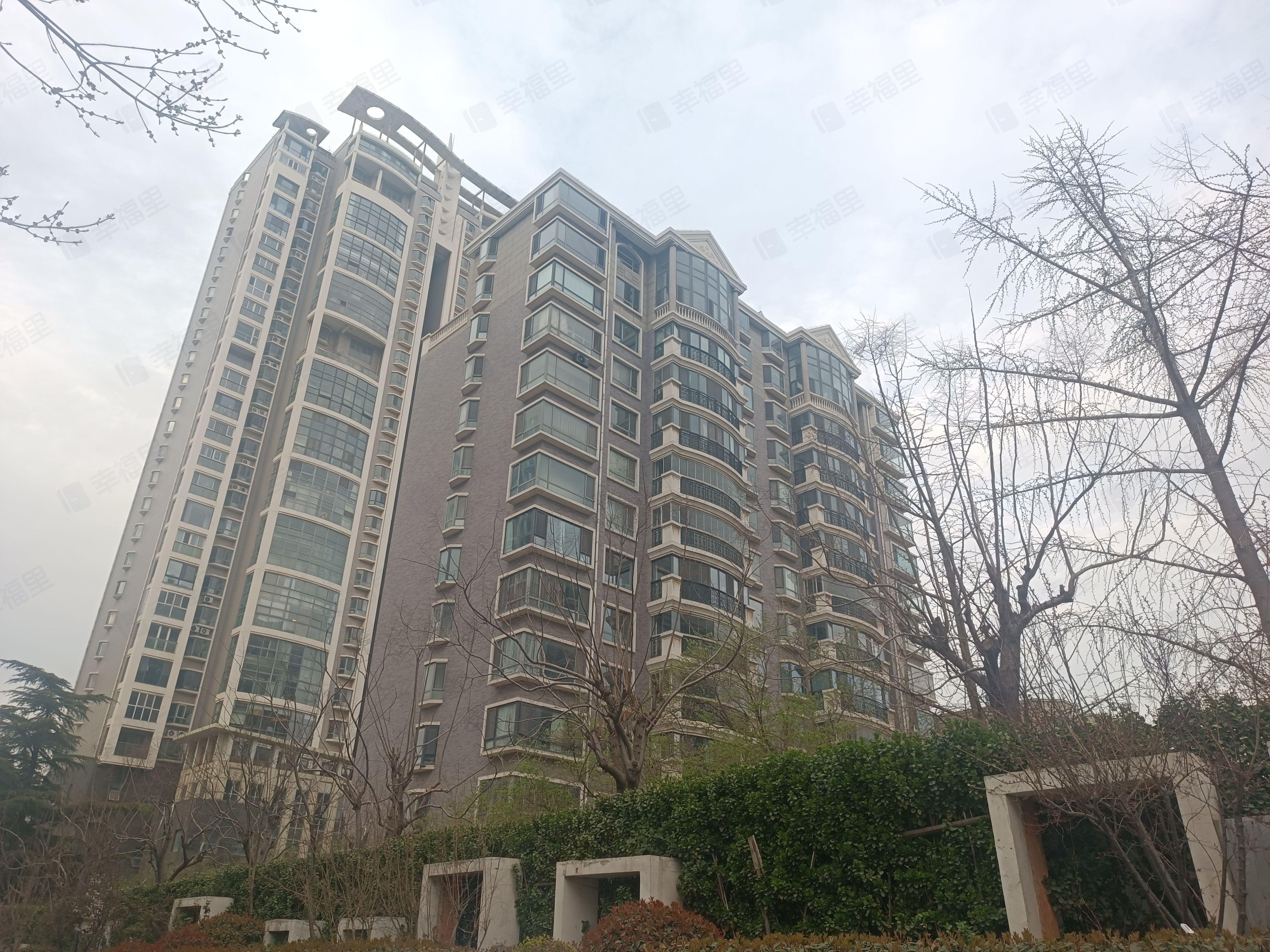 山大路236号小区效果图