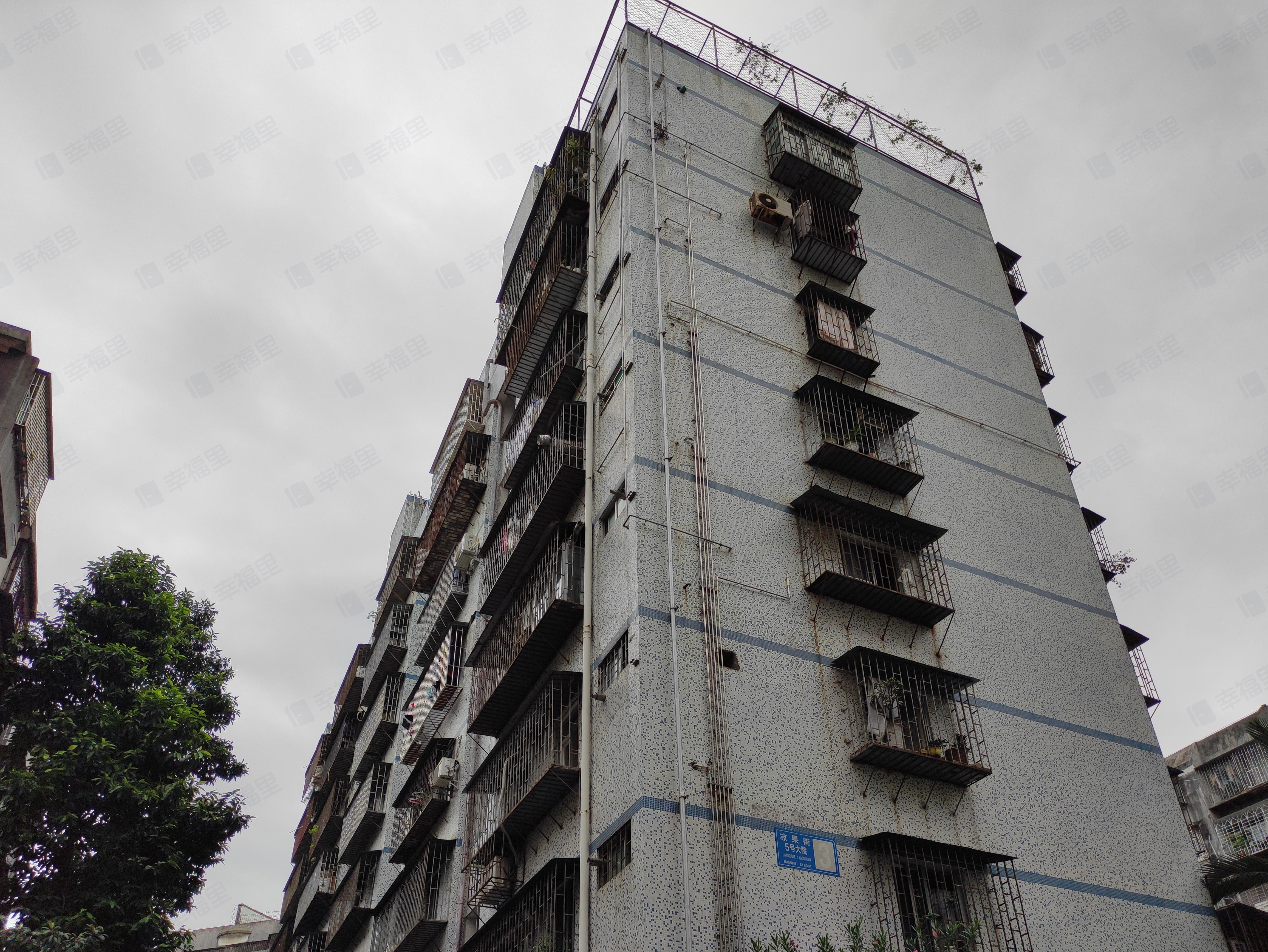 凉果街(5号大院)小区效果图