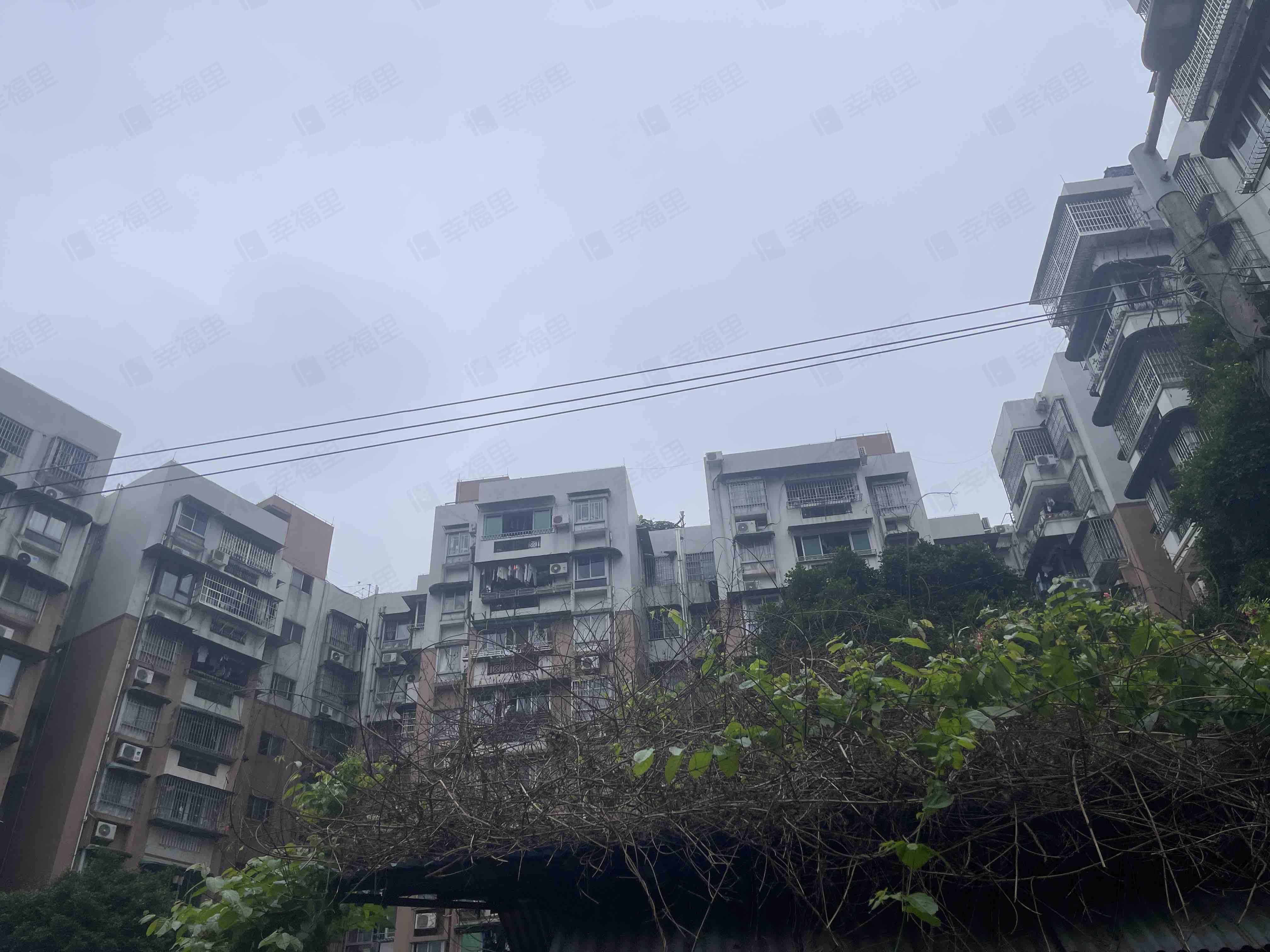 鹤松里后街小区效果图