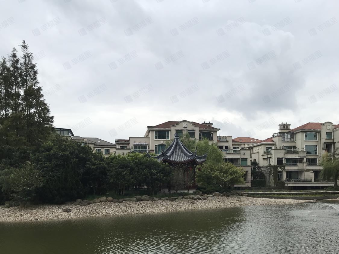 上海浦东-碧云/暂无年代世茂湖滨花园(别墅)