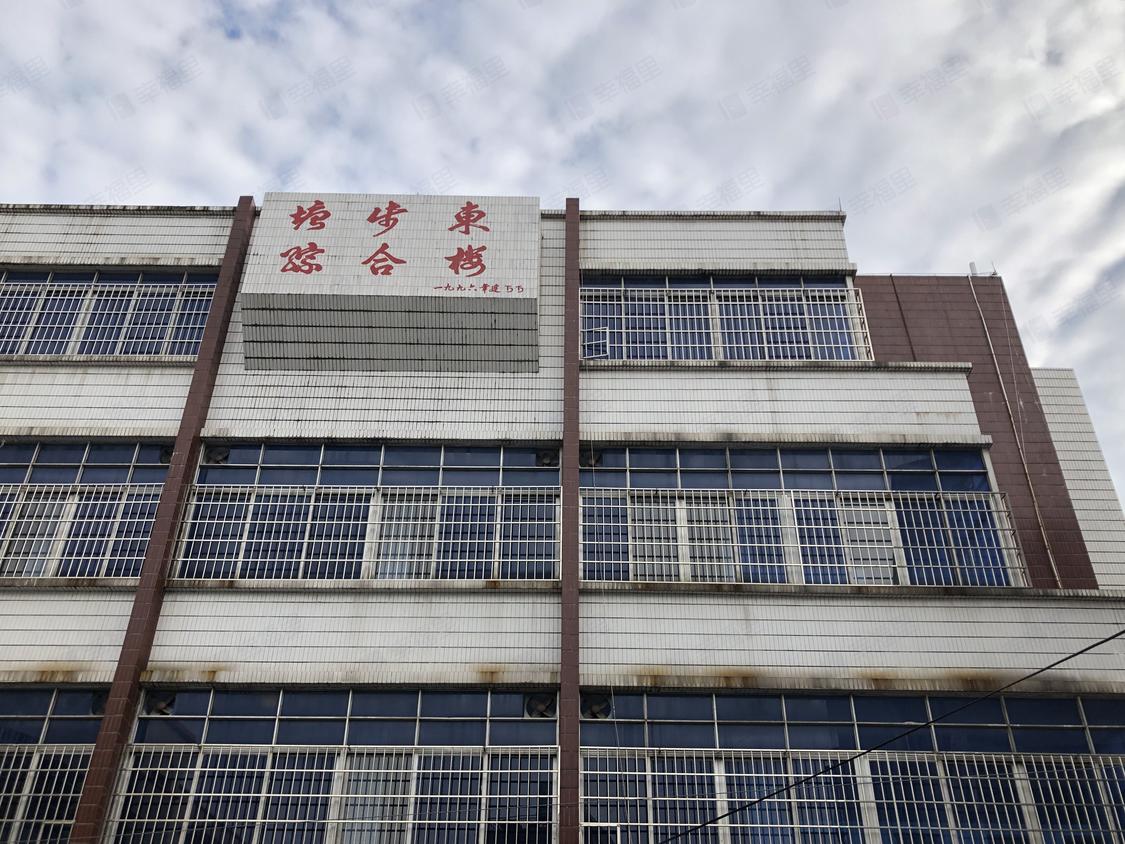 广州番禺-星河湾/暂无年代塘东跃进大街小区
