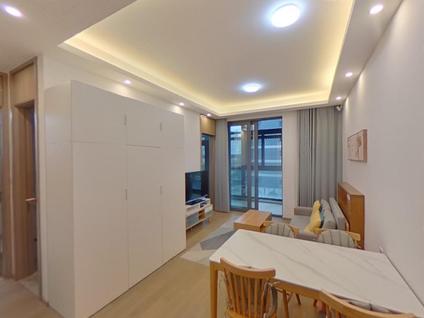 浦东前滩整租 江悦名庭1室1厅/63平/中楼层