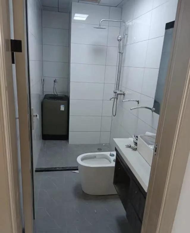 整租·润金花园