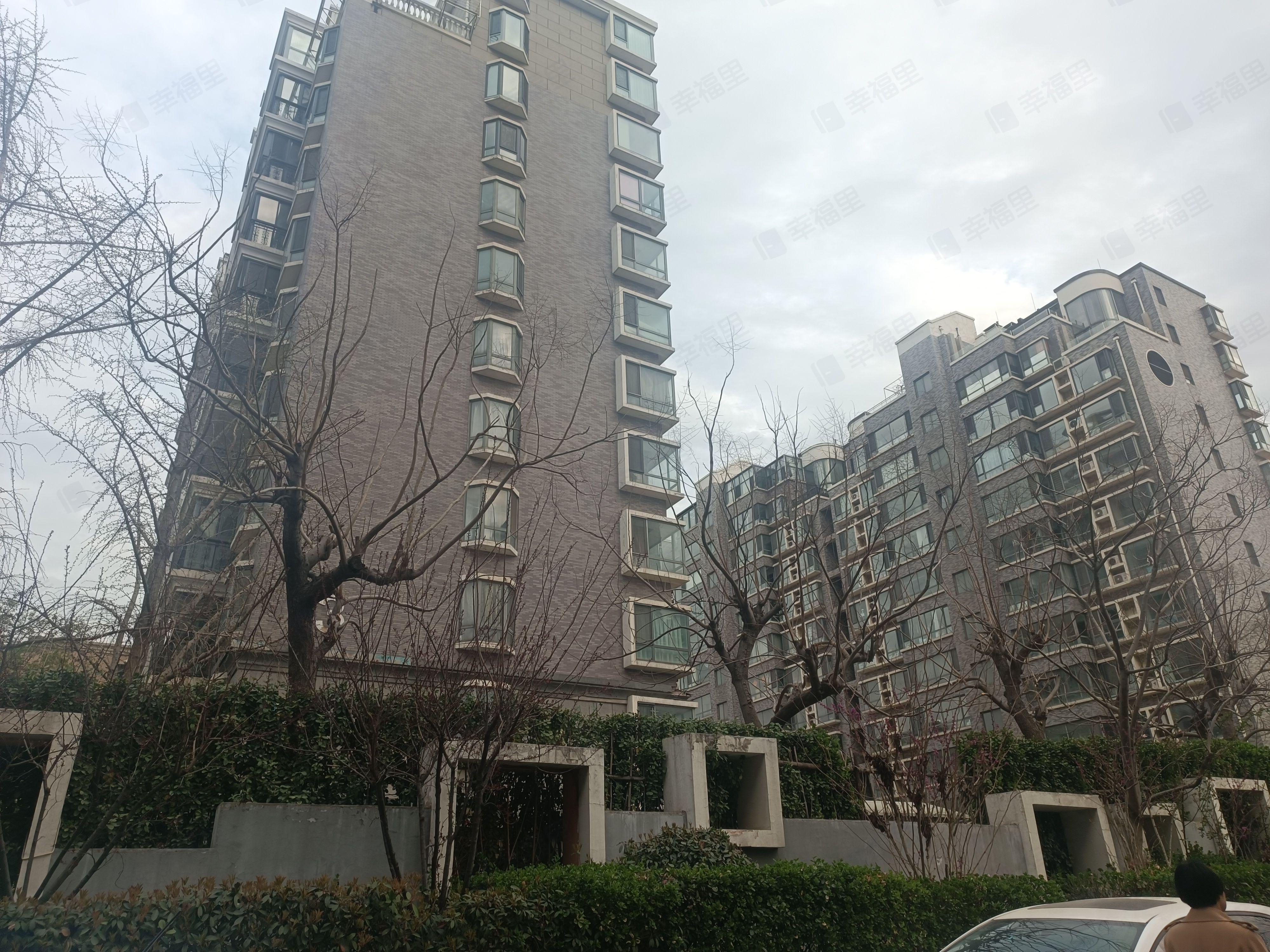 山大路236号小区效果图