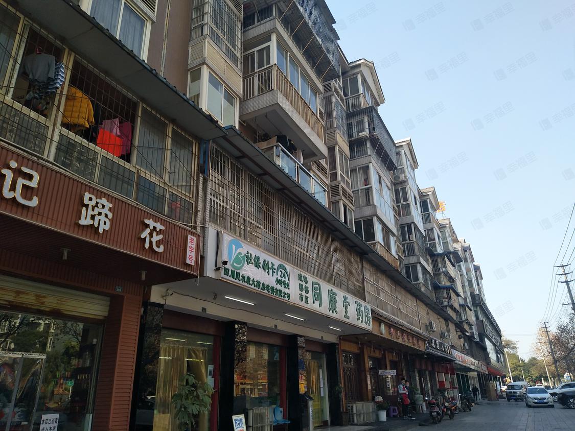 成都郫都-红光/2004年建金仪苑