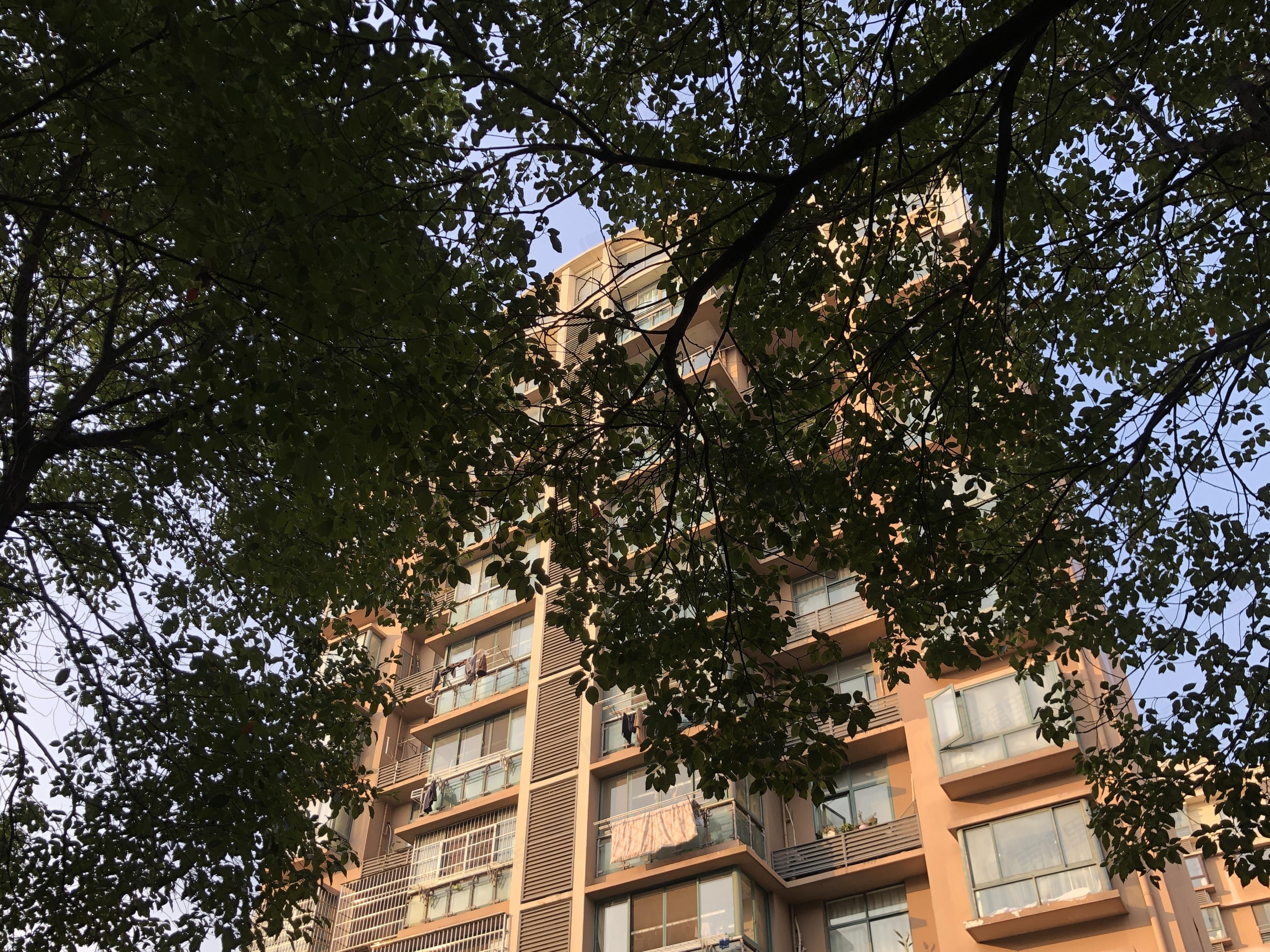 枫景家园小区效果图