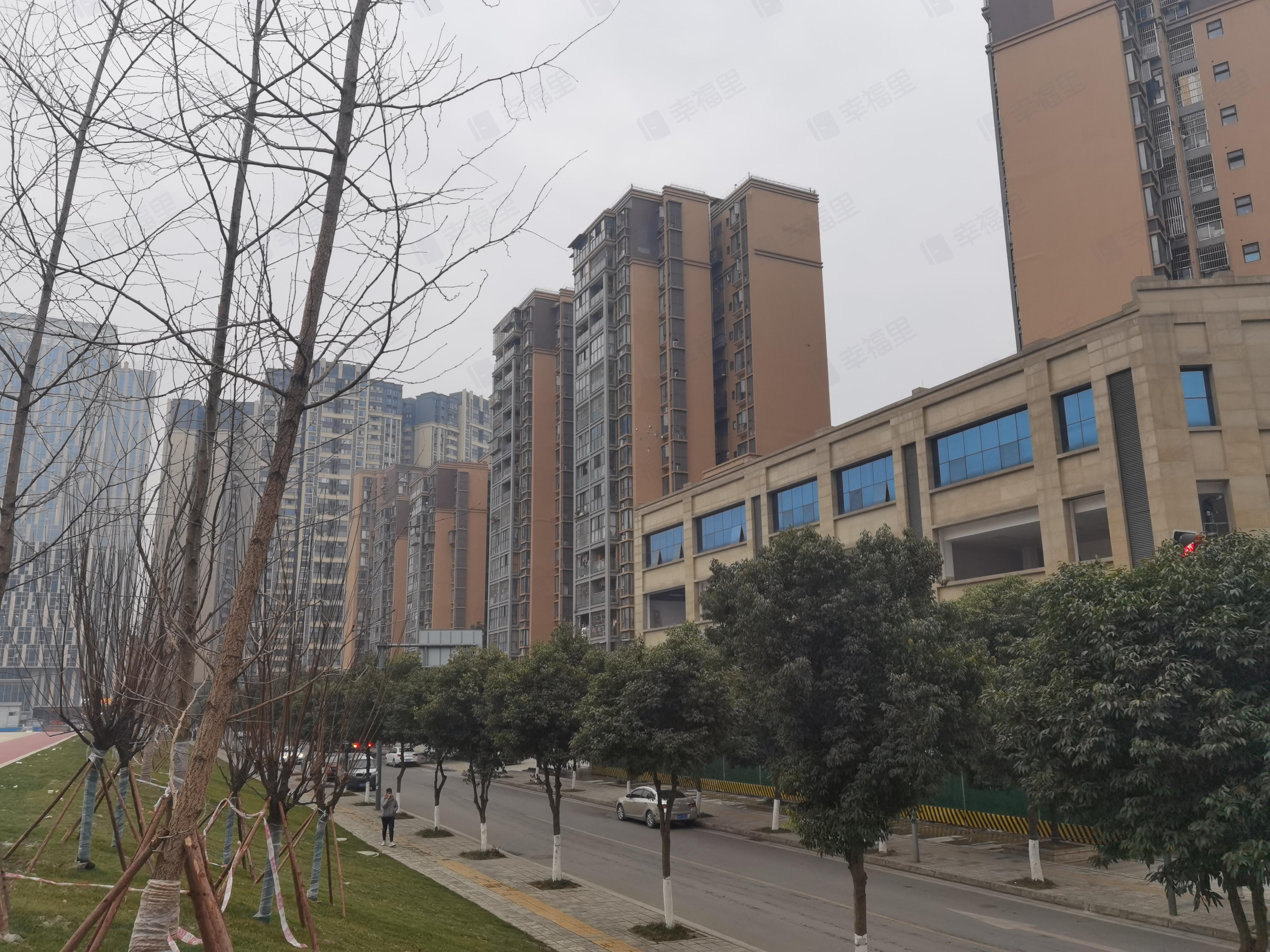 青龙鹭苑小区效果图