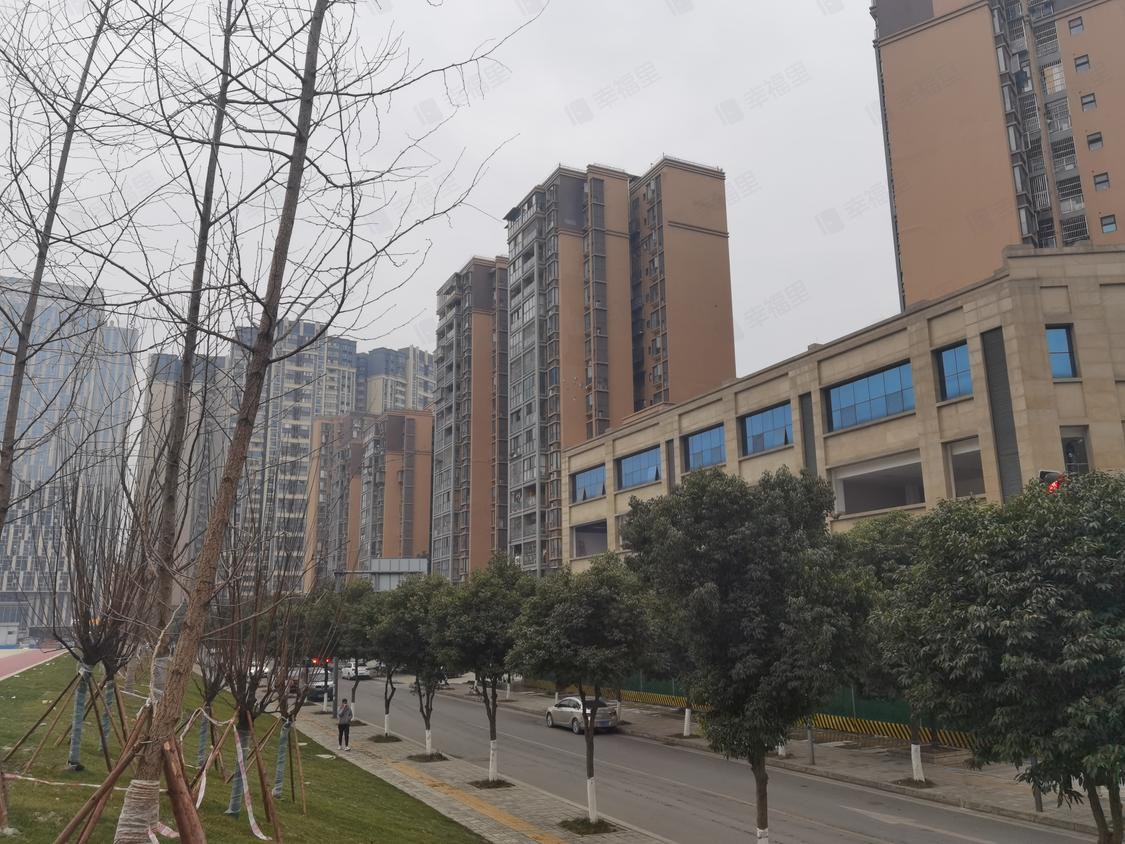成都成华-驷马桥/2000年建青龙鹭苑