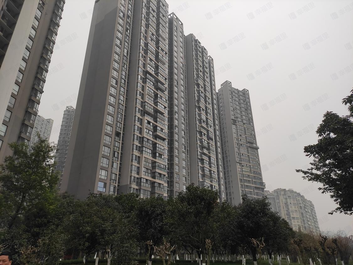 成都青羊-光华泡小/2010年建中铁西子香荷