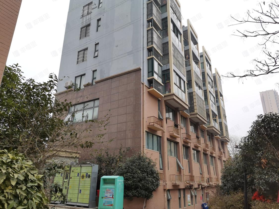 合肥庐阳-白水坝/2008年建纪元阳光大厦