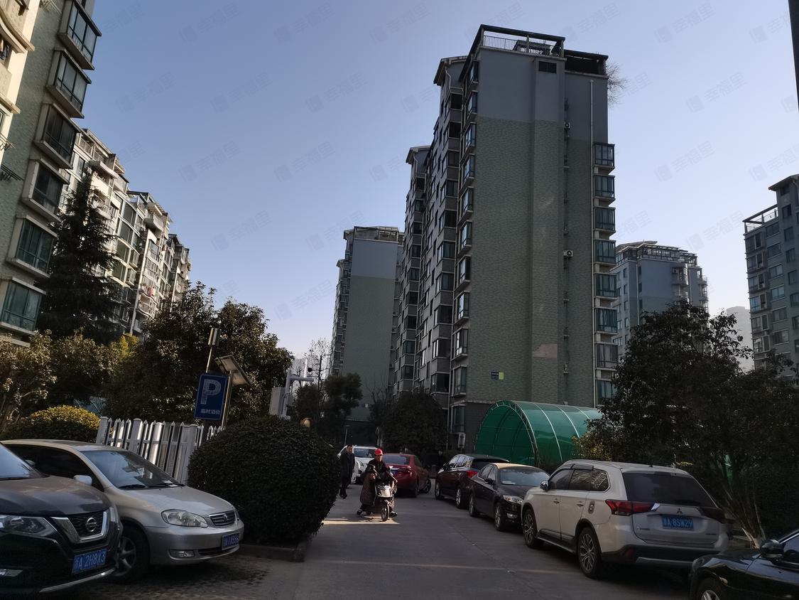 杭州滨江-滨江区政府/暂无年代中兴花园(百合苑)
