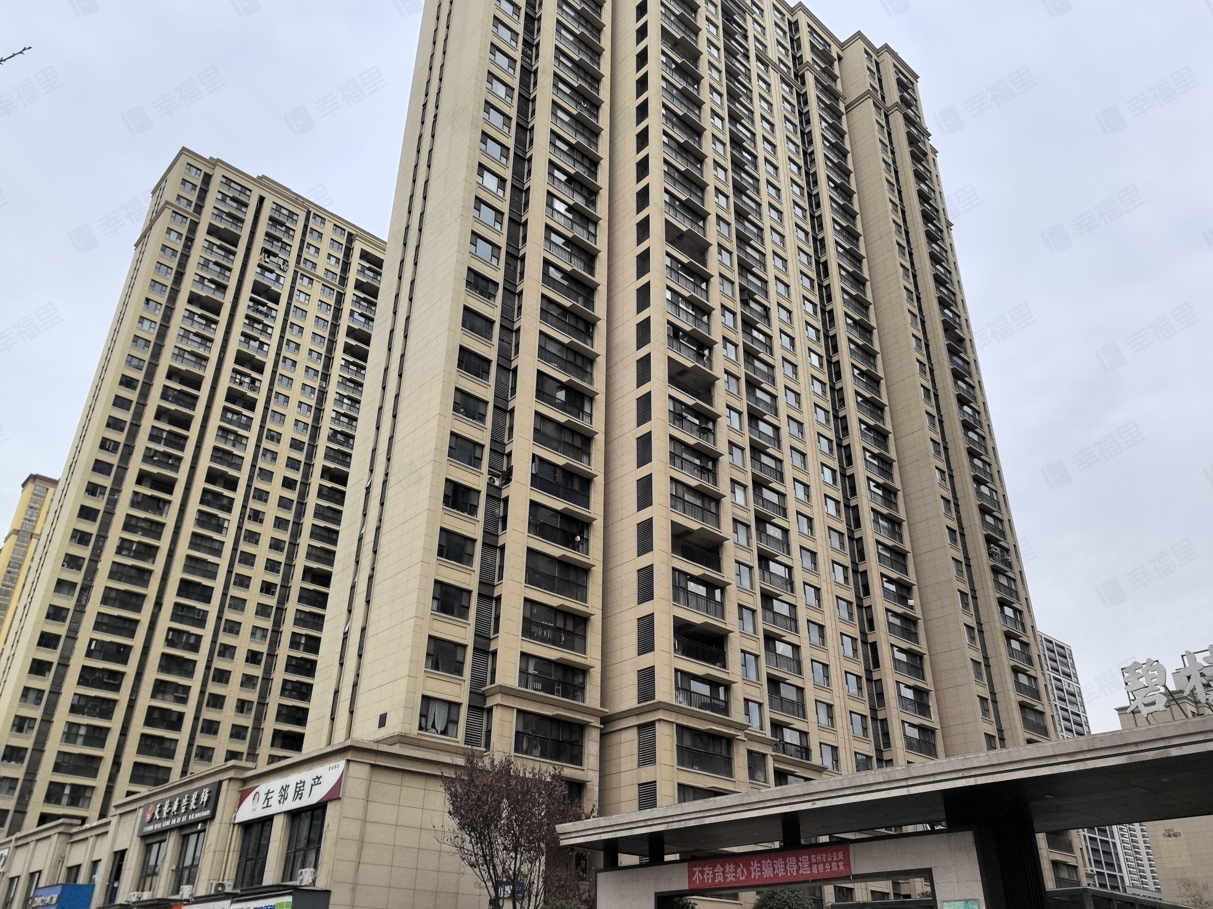 碧桂园中南双玺小区效果图