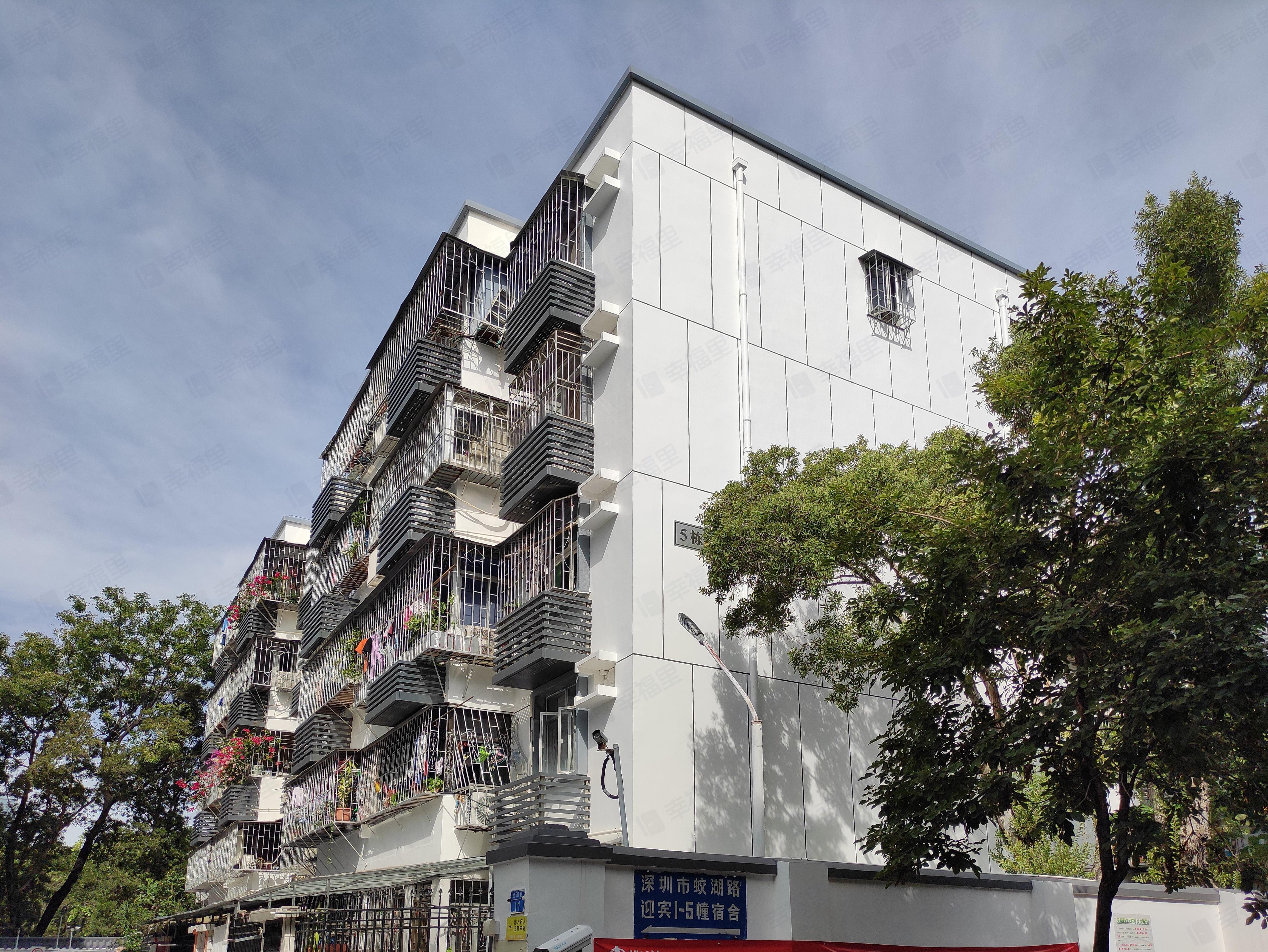 蛟湖路九号大院小区效果图