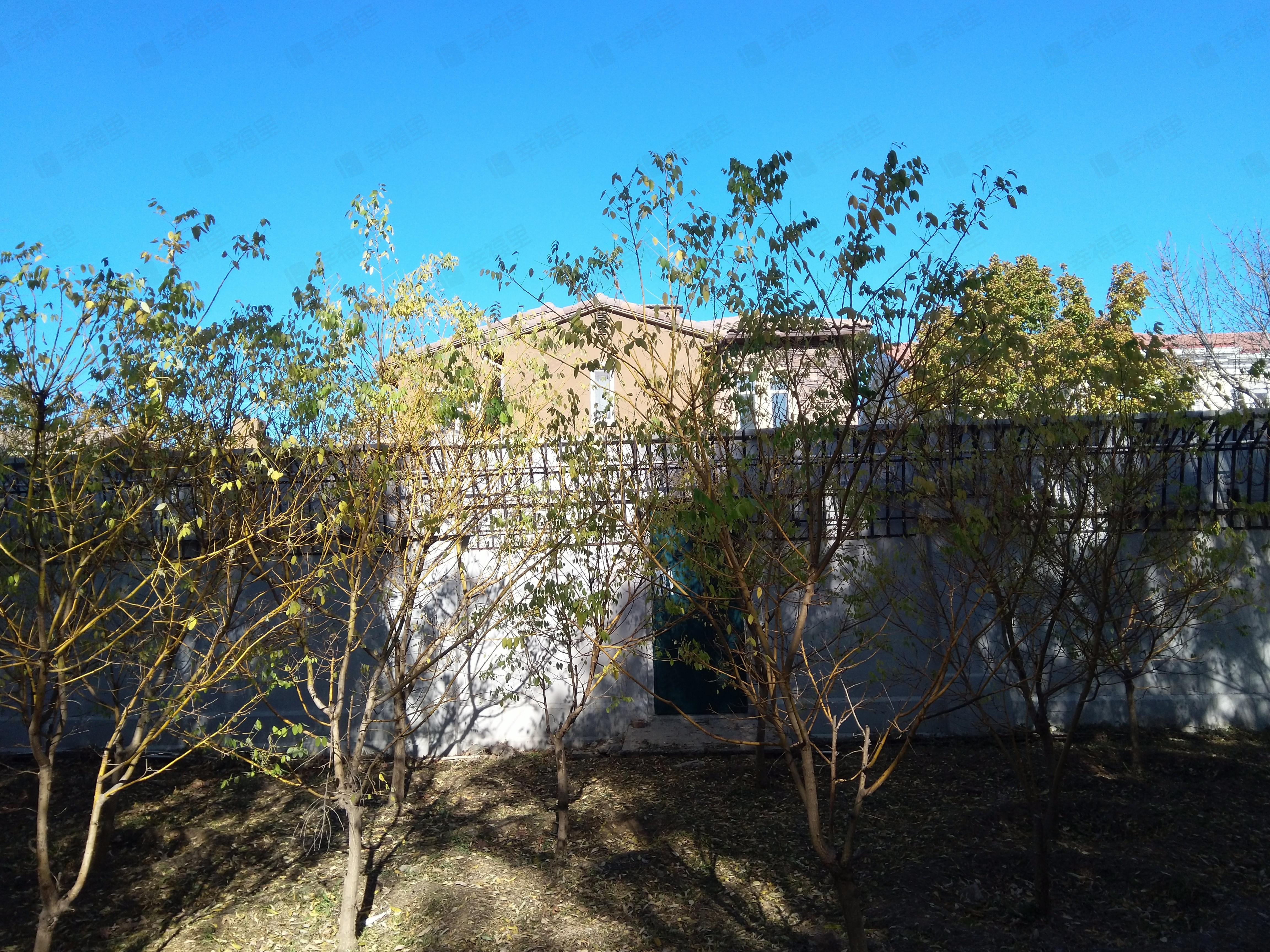 橘郡小区效果图