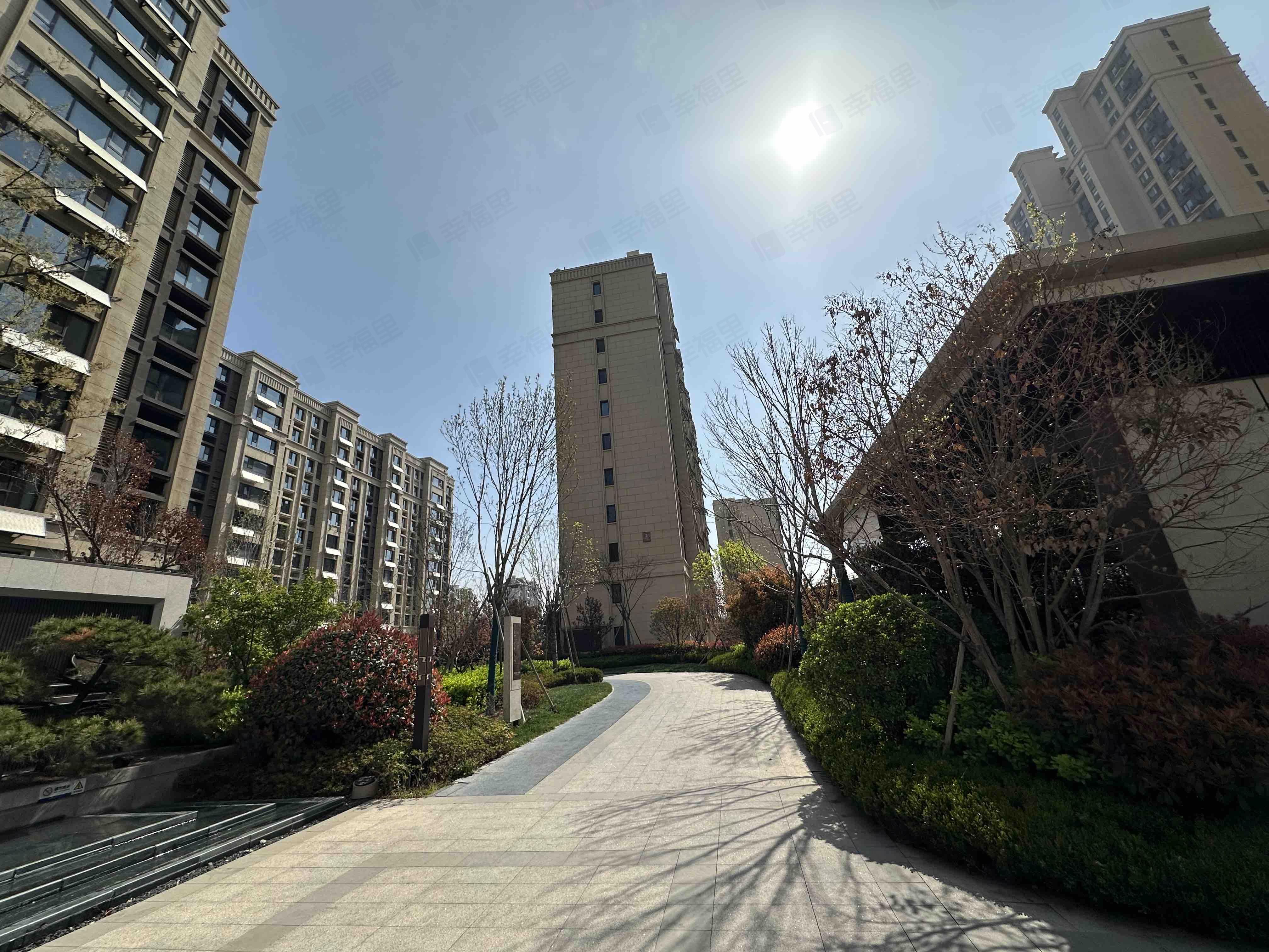 中欧金茂悦东四区(D6)小区效果图