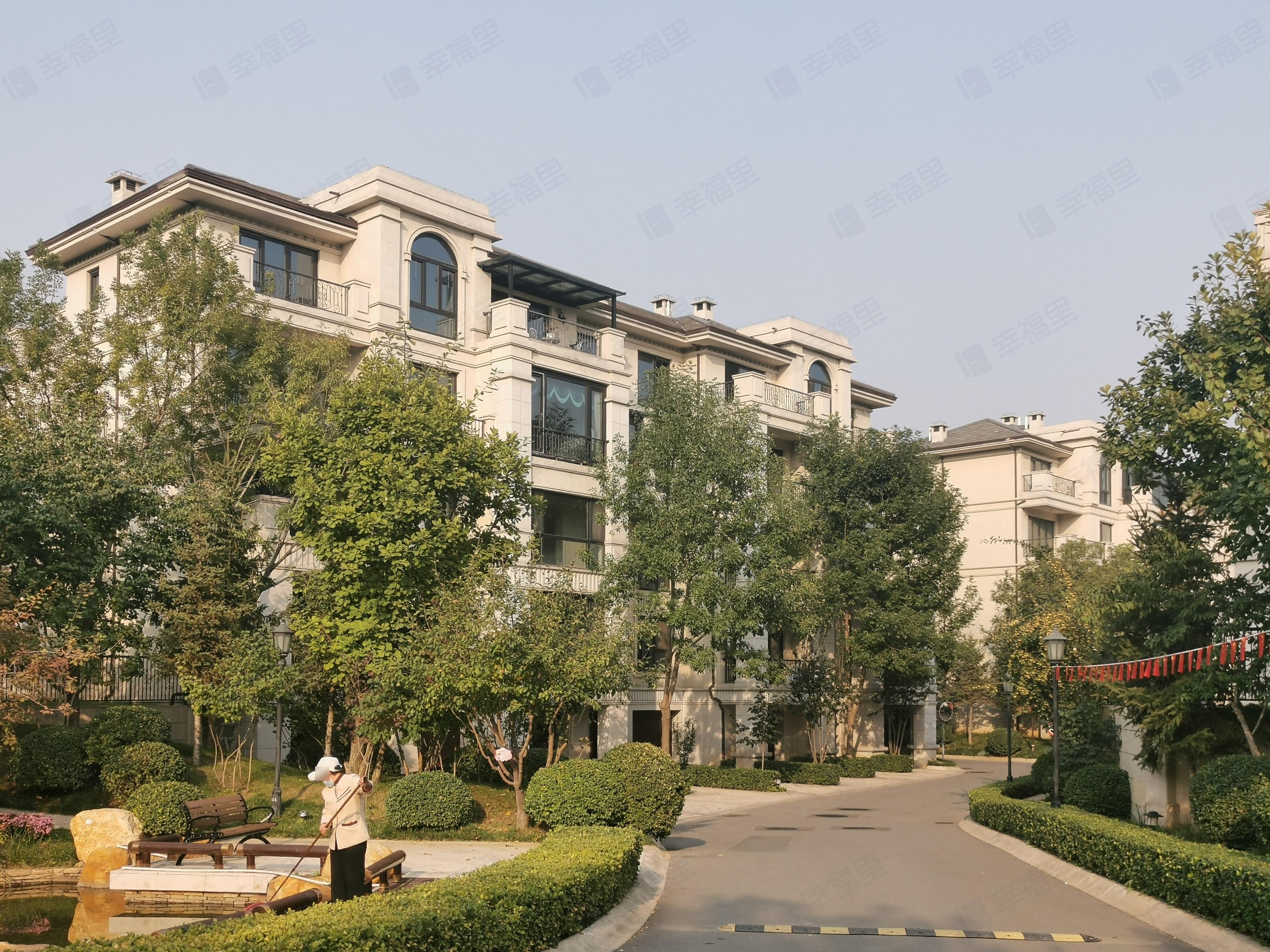 V7荷塘月色小区效果图