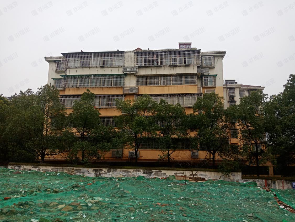 长沙岳麓-河西王府井/暂无年代银杏家园(岳麓)