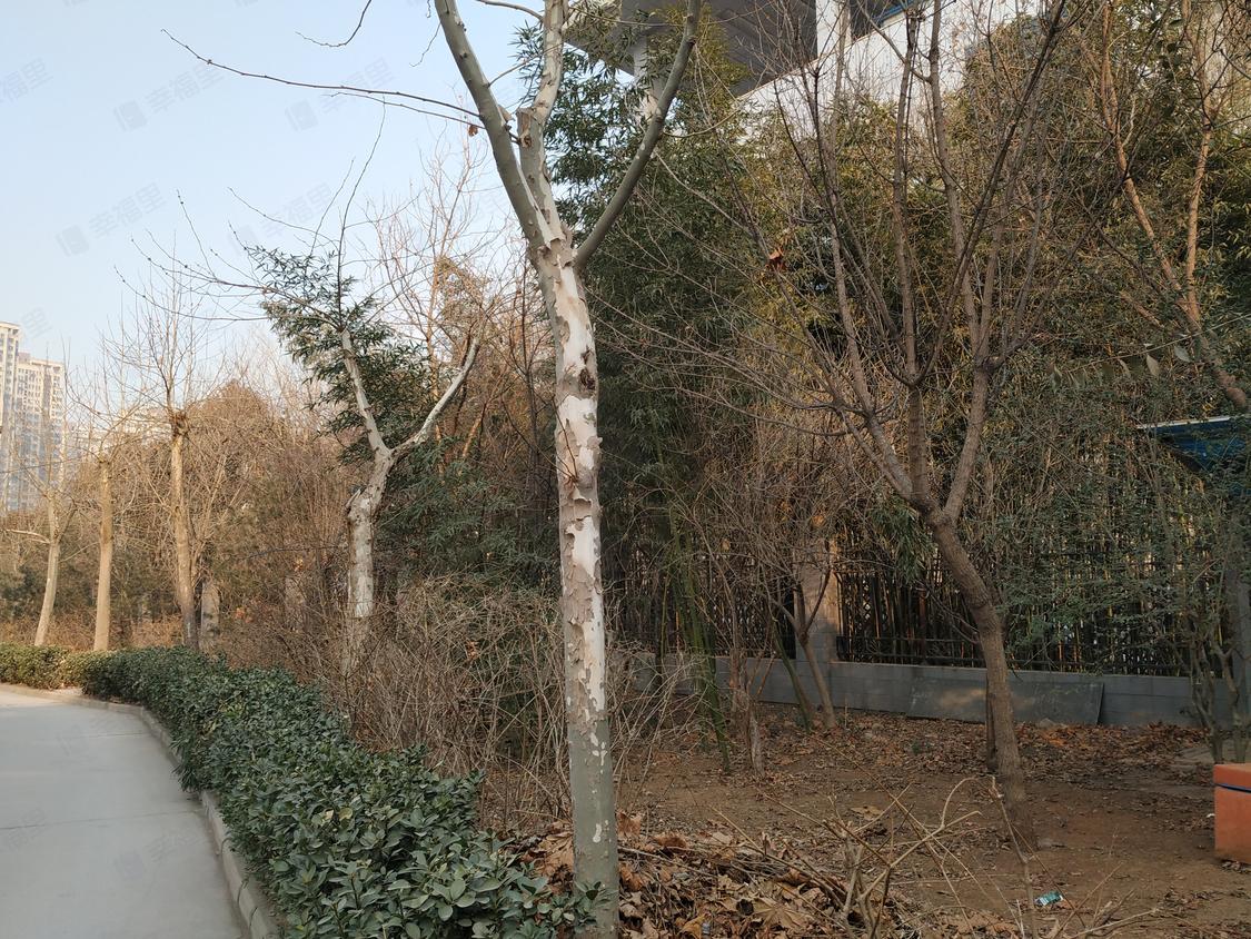 济南水屯小学网站首页_济南水屯片区 济南水屯小学网站首页_济南水屯片区