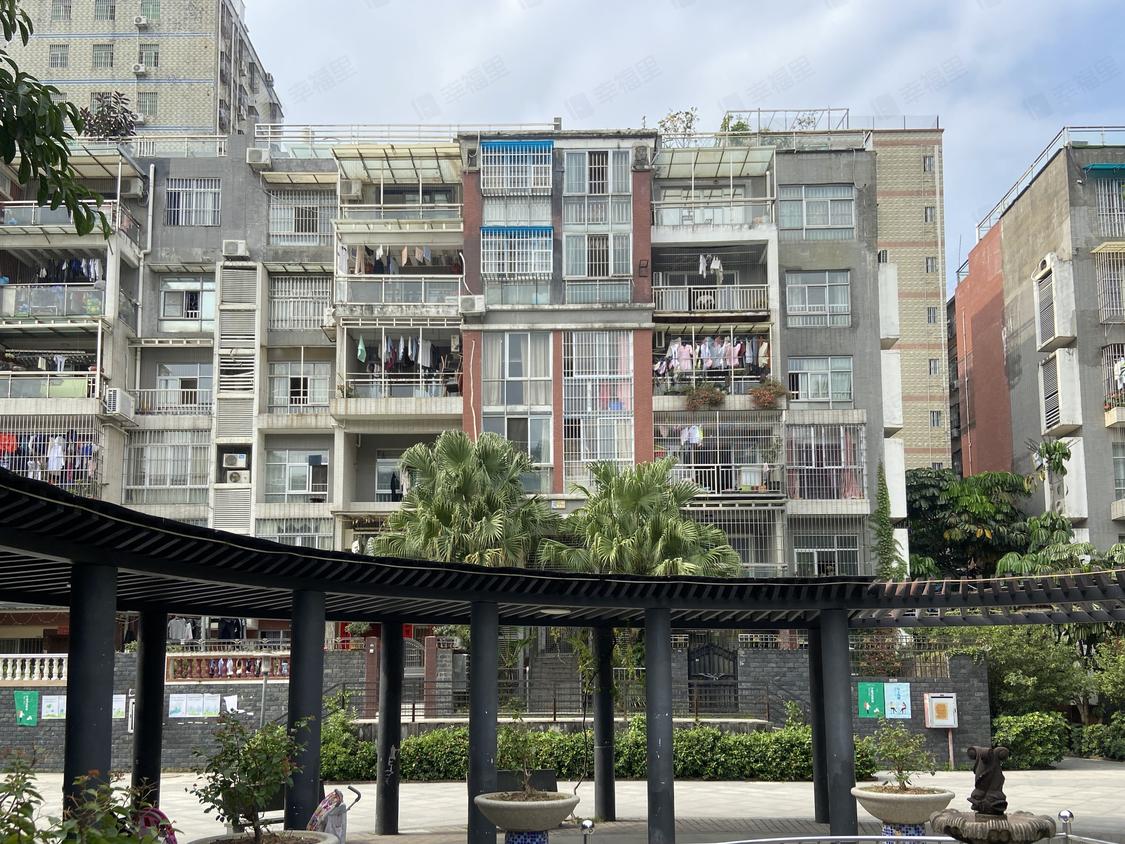 深圳龙华-大浪/2007年建可乐园