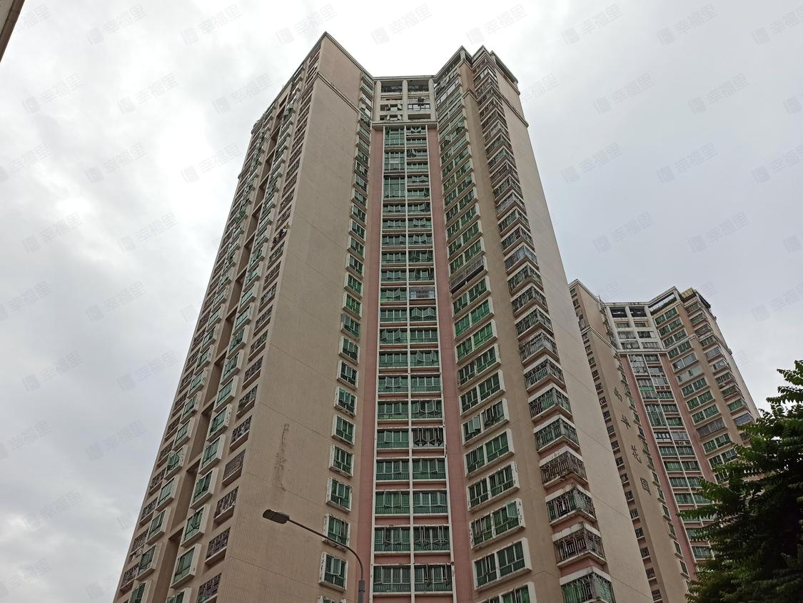 深圳福田-华强南/1999年建南华花园(华强南路)