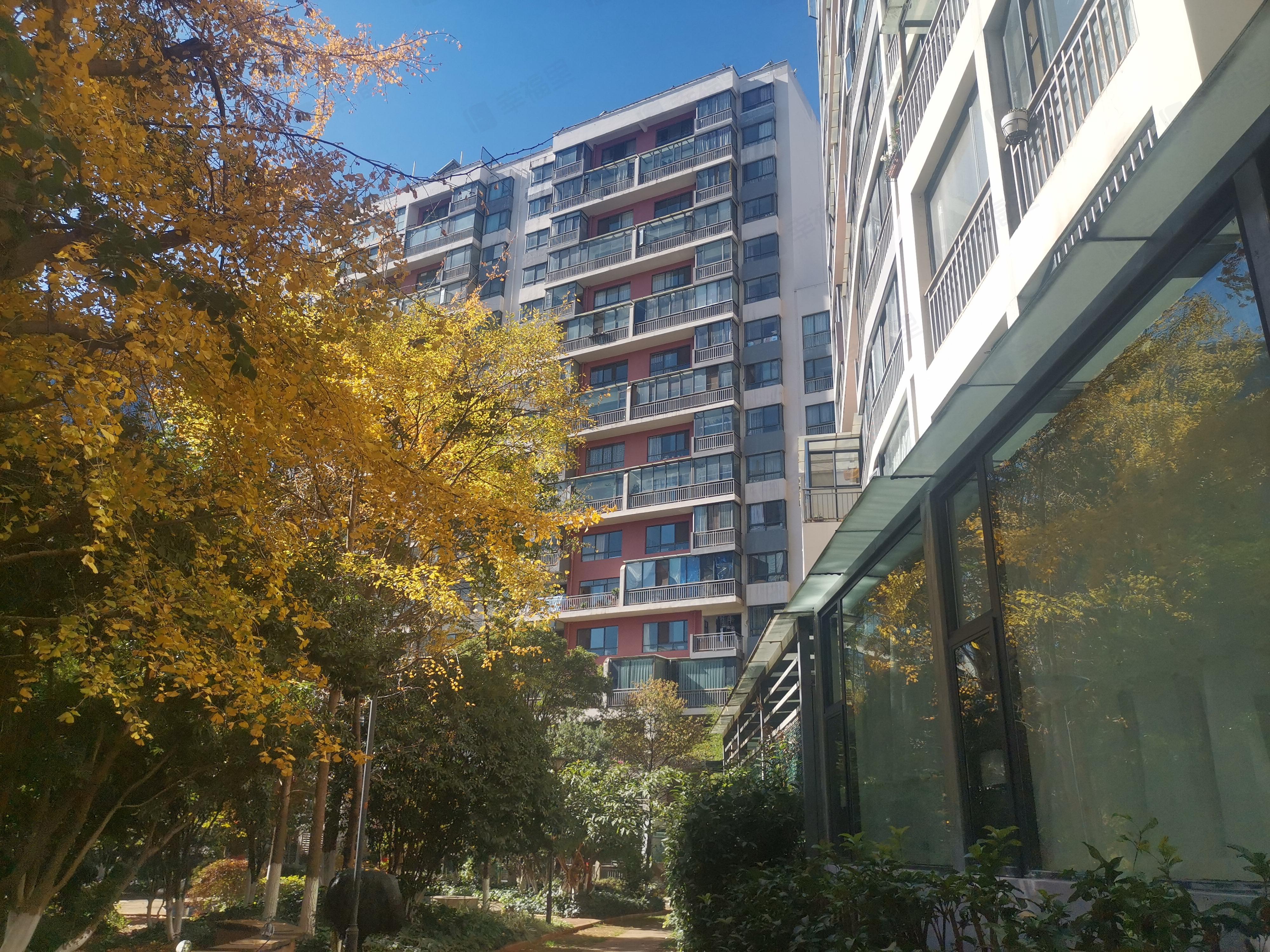 朝花曦拾小区效果图