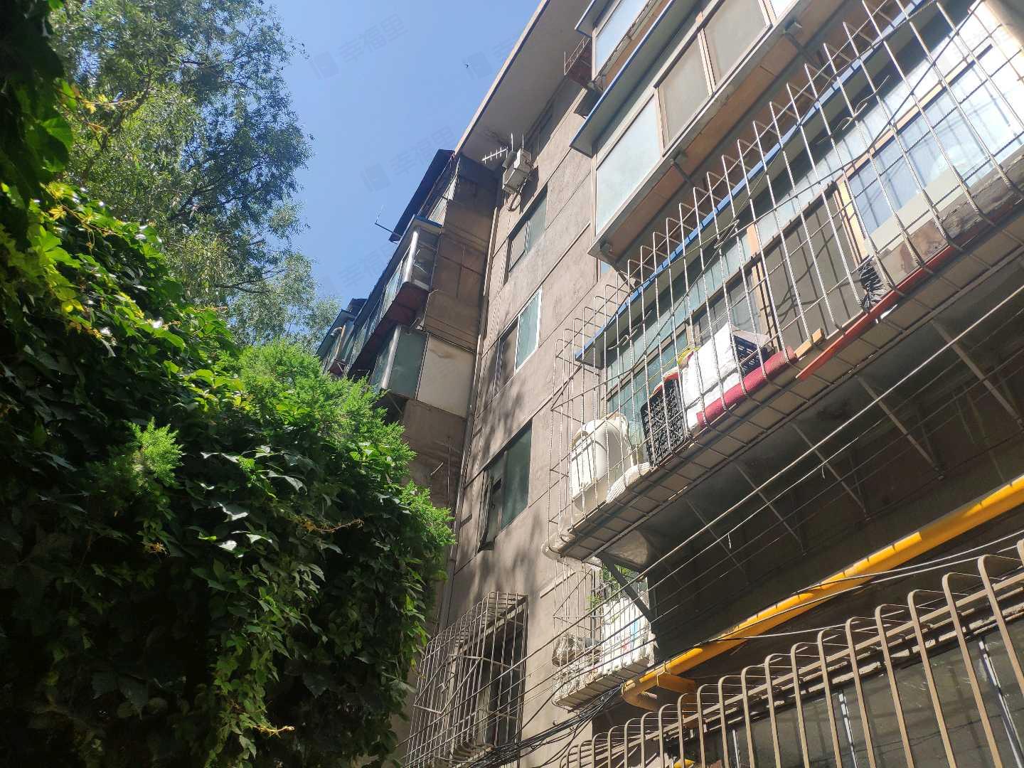 市职业技术学校家属院小区效果图