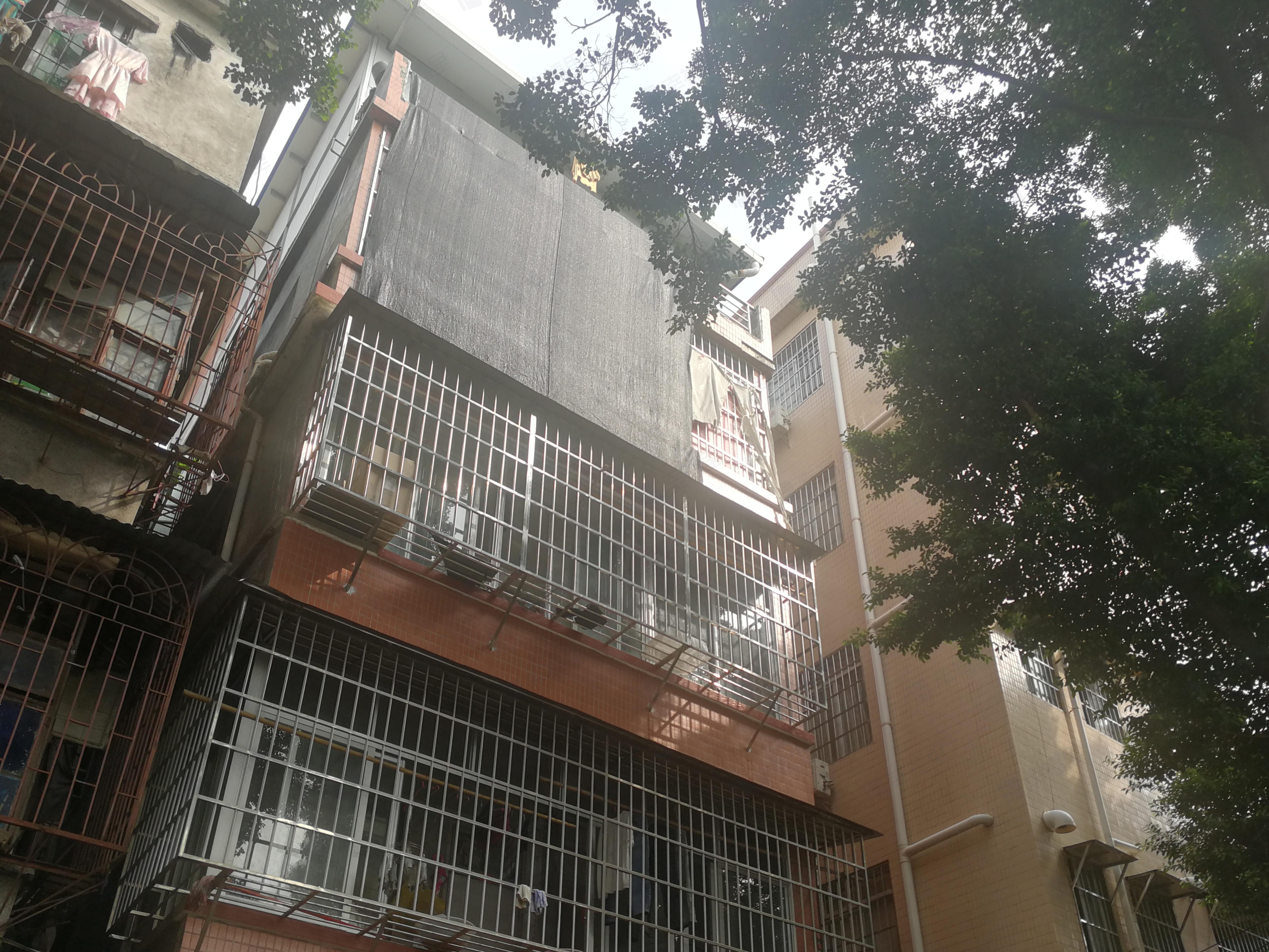 招村北外约二巷小区效果图