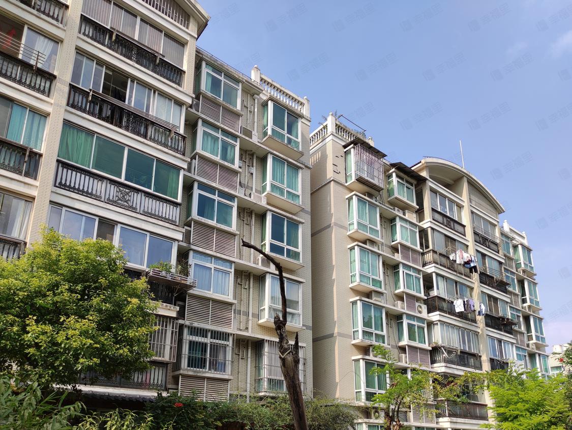 上海浦东-三林/2005年建凌兆丁香苑