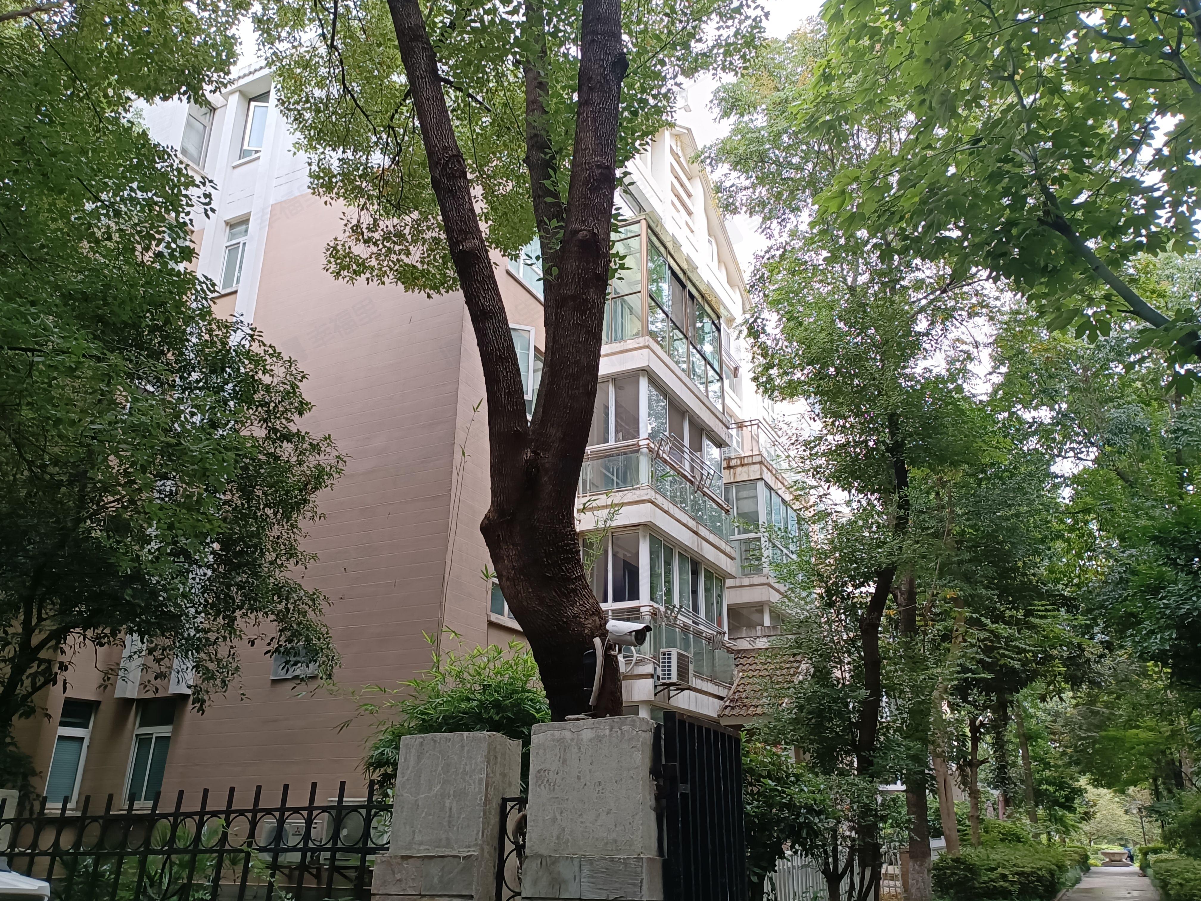 天泓山庄小区效果图