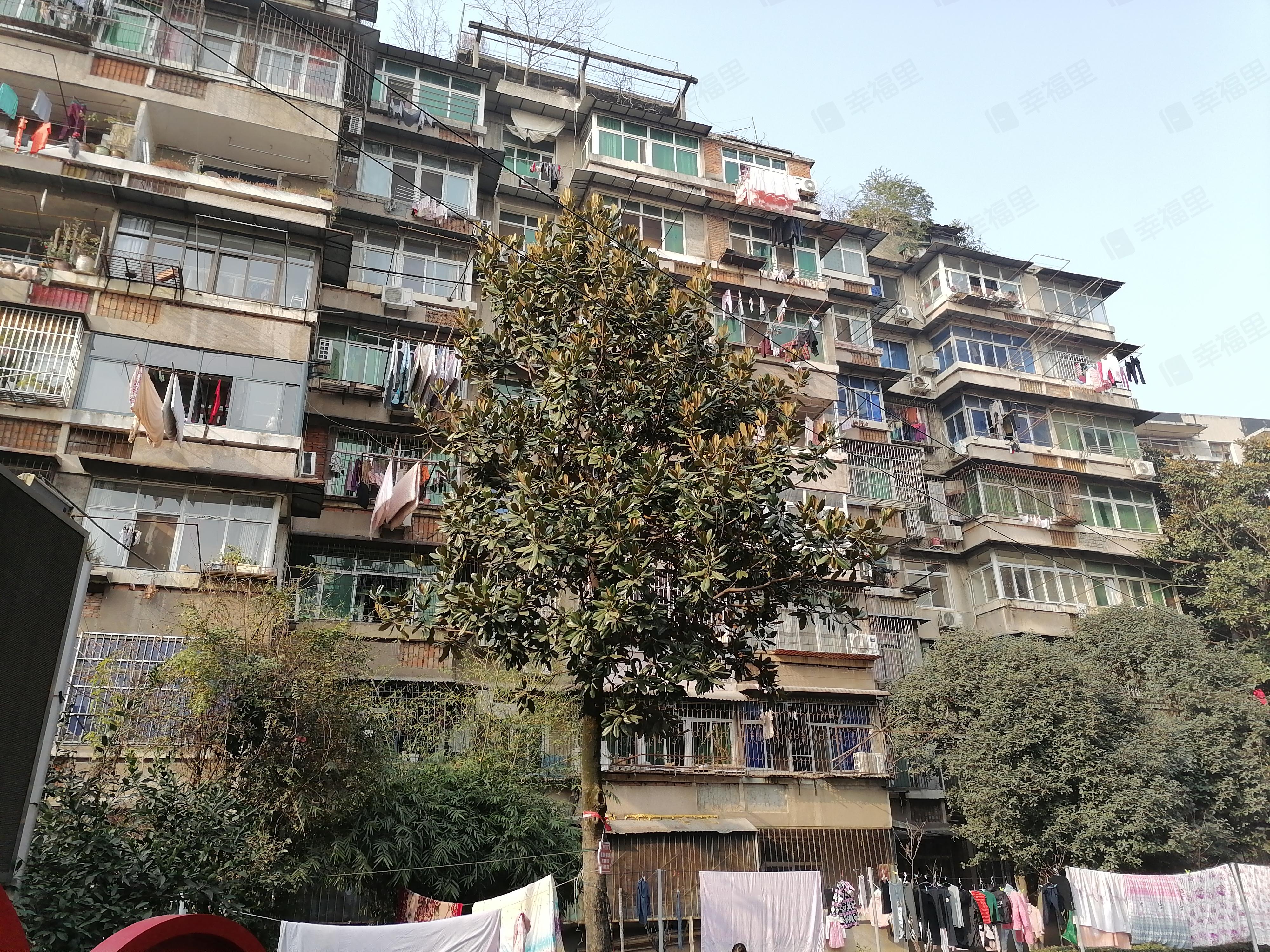 武昌区杨园街柴东社区小区效果图