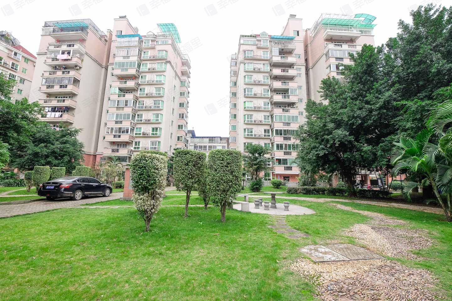 金山碧水一期雨桐苑小区效果图