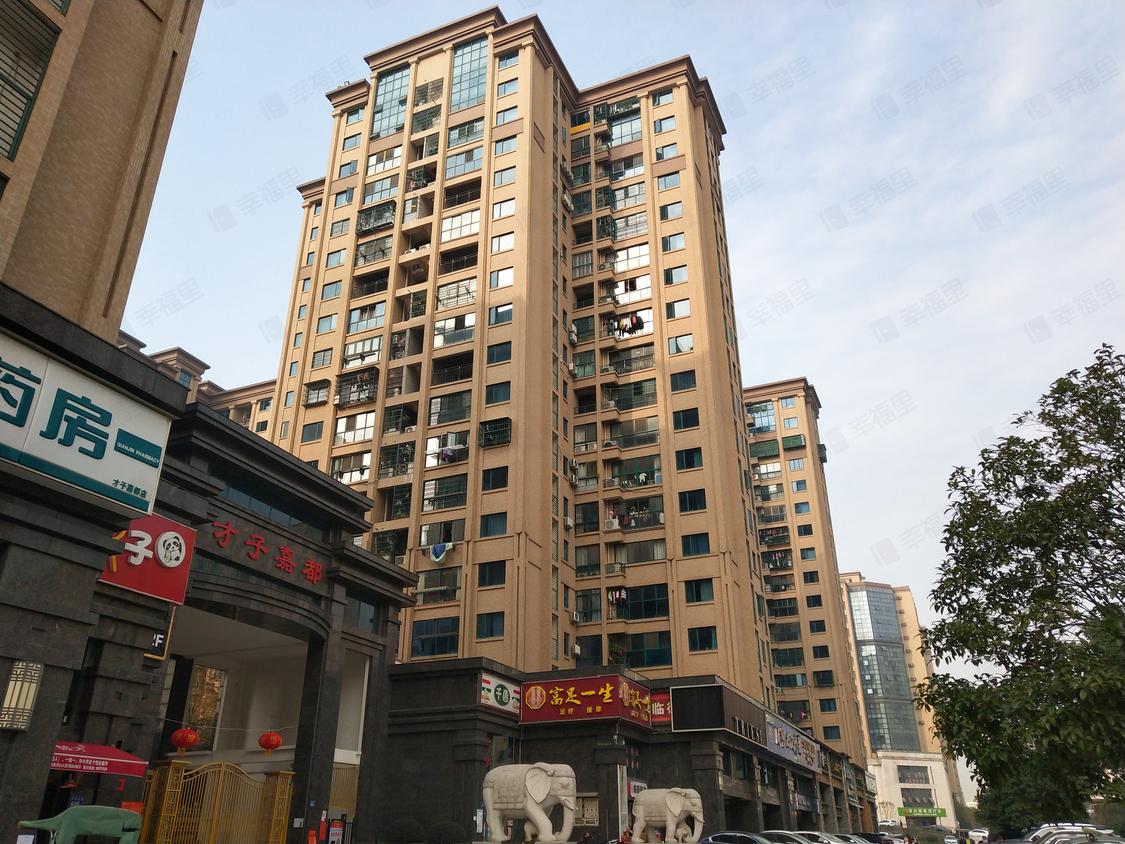 长沙雨花-天心区政府/2015年建才子嘉都(一期)