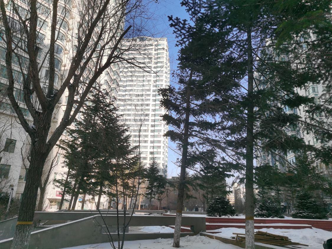 哈尔滨南岗-哈西/暂无年代蓝钻公寓