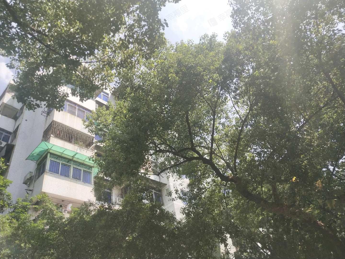 帼华大楼小区效果图