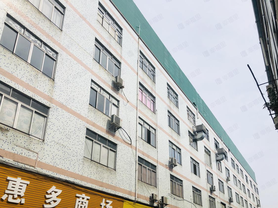广州番禺-南浦/暂无年代丰收路二街二巷