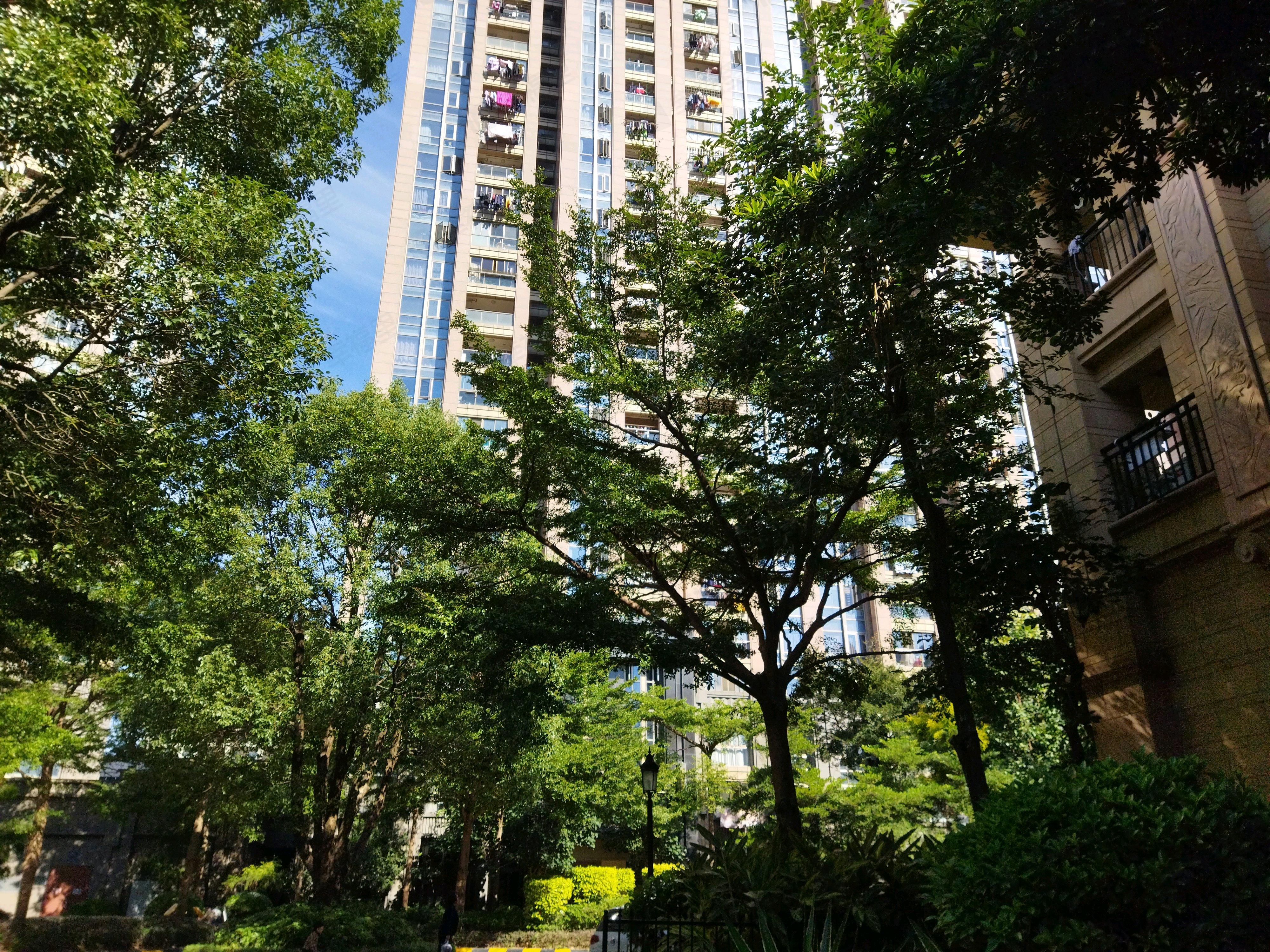 融信大卫城B区小区效果图