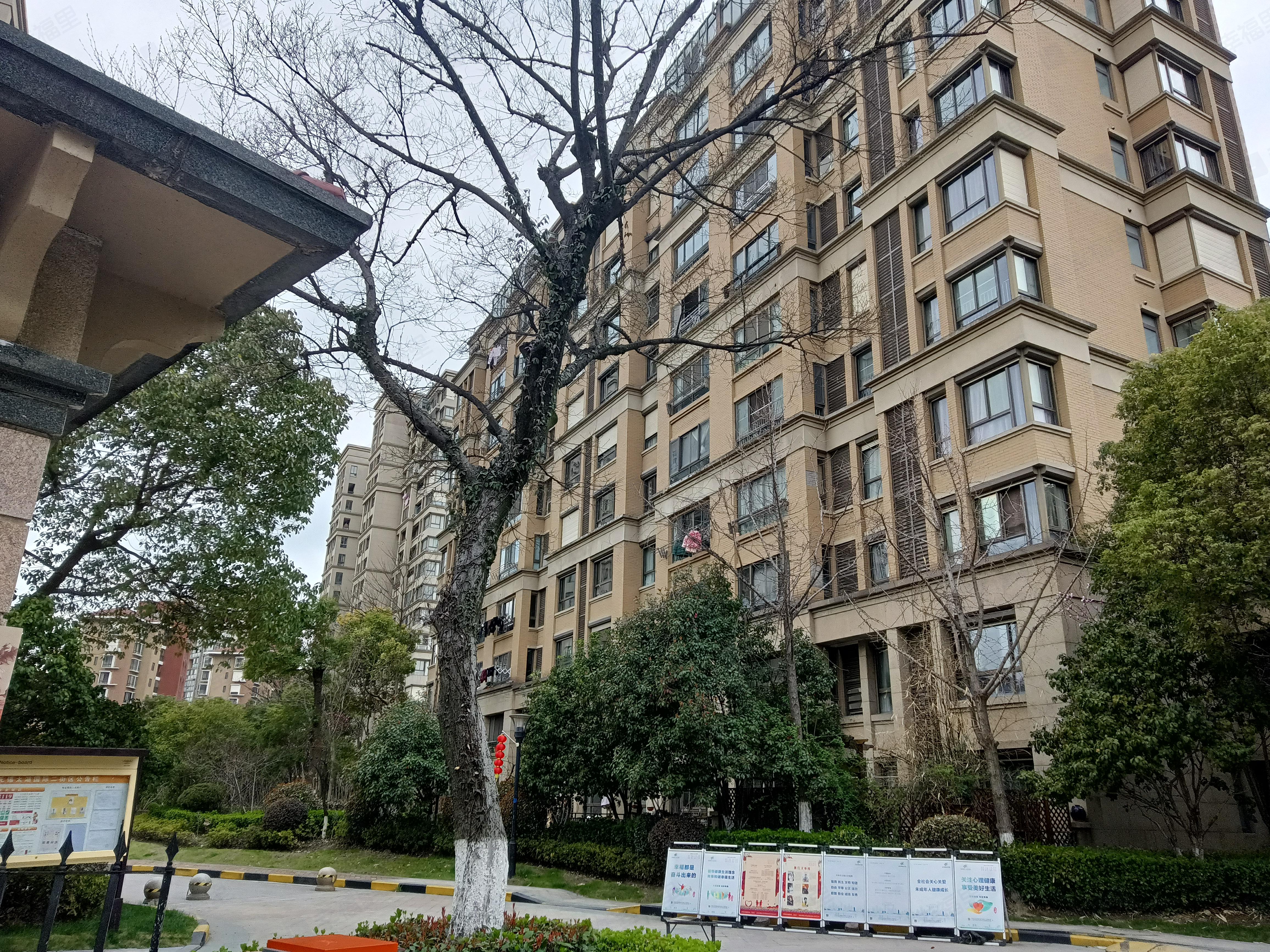 太湖国际社区(二街区星辉塞纳)小区效果图