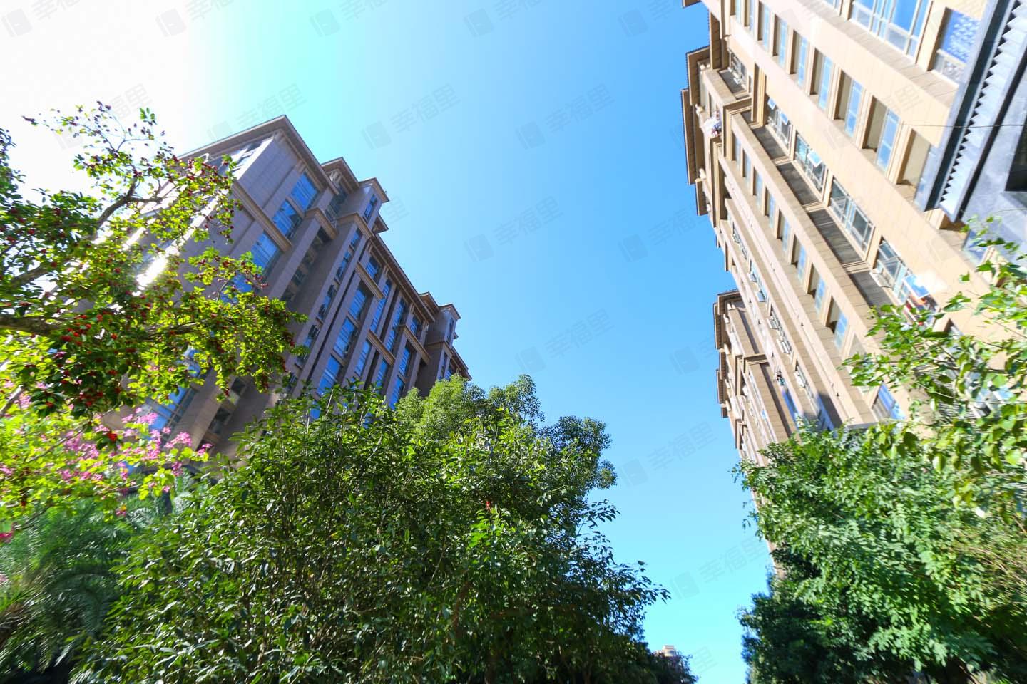 融信大卫城A区别墅小区效果图