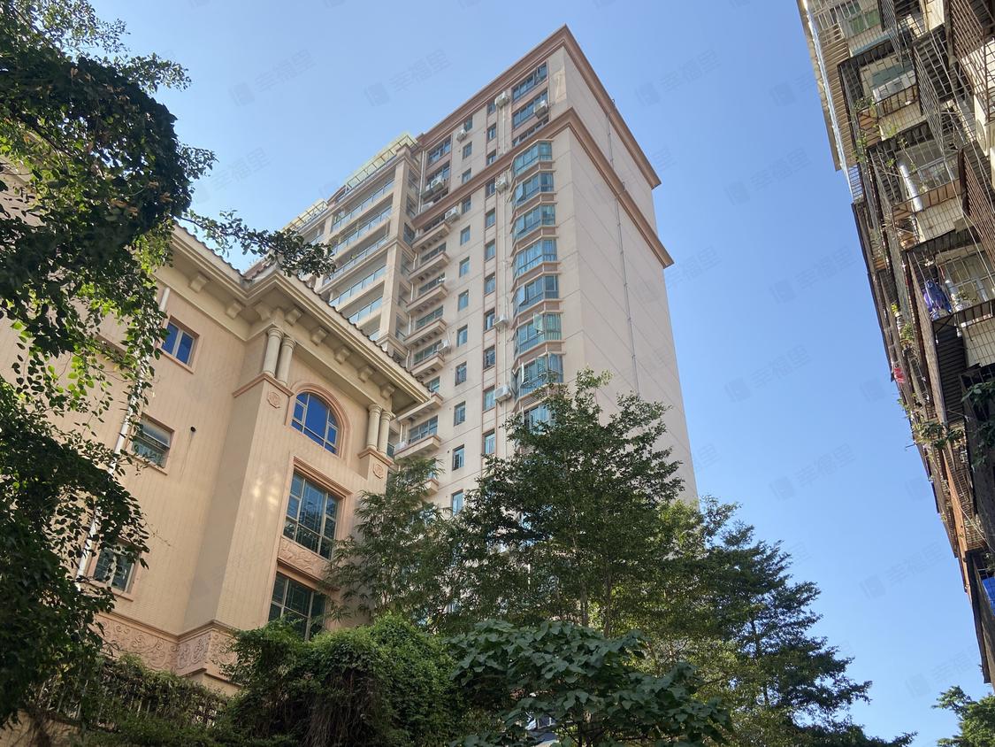 深圳龙华-龙华中心区/暂无年代金和豪苑